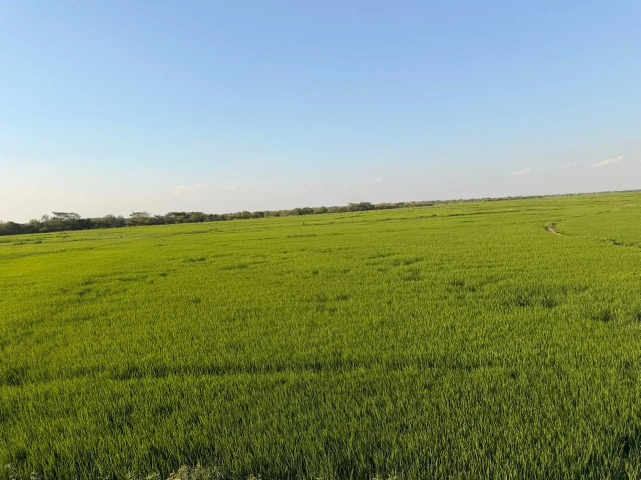 WhatsApp Image 2026-03-25 at 5.33.59 PM.jpeg