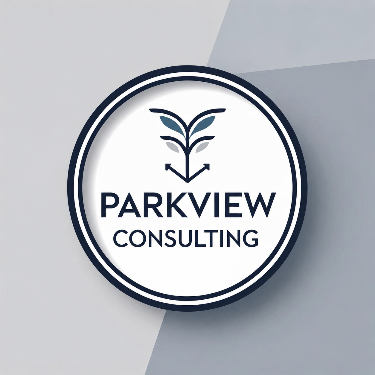 Business Strategy &amp; Operations Consulting | Parkview Consulting