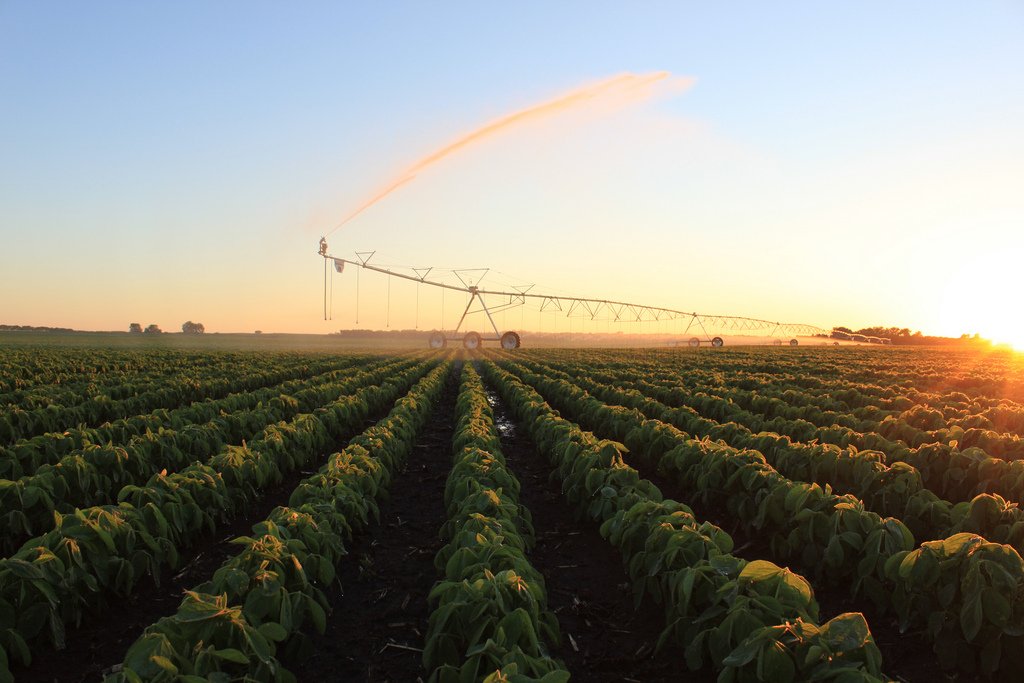 flex base (flat) on beans at sunset.jpg