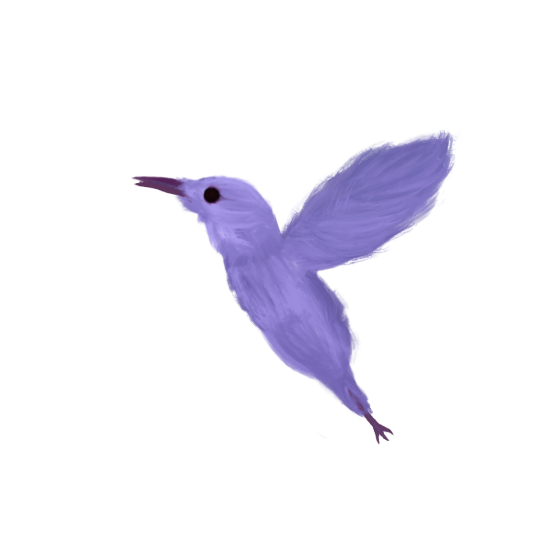 Pipitule
