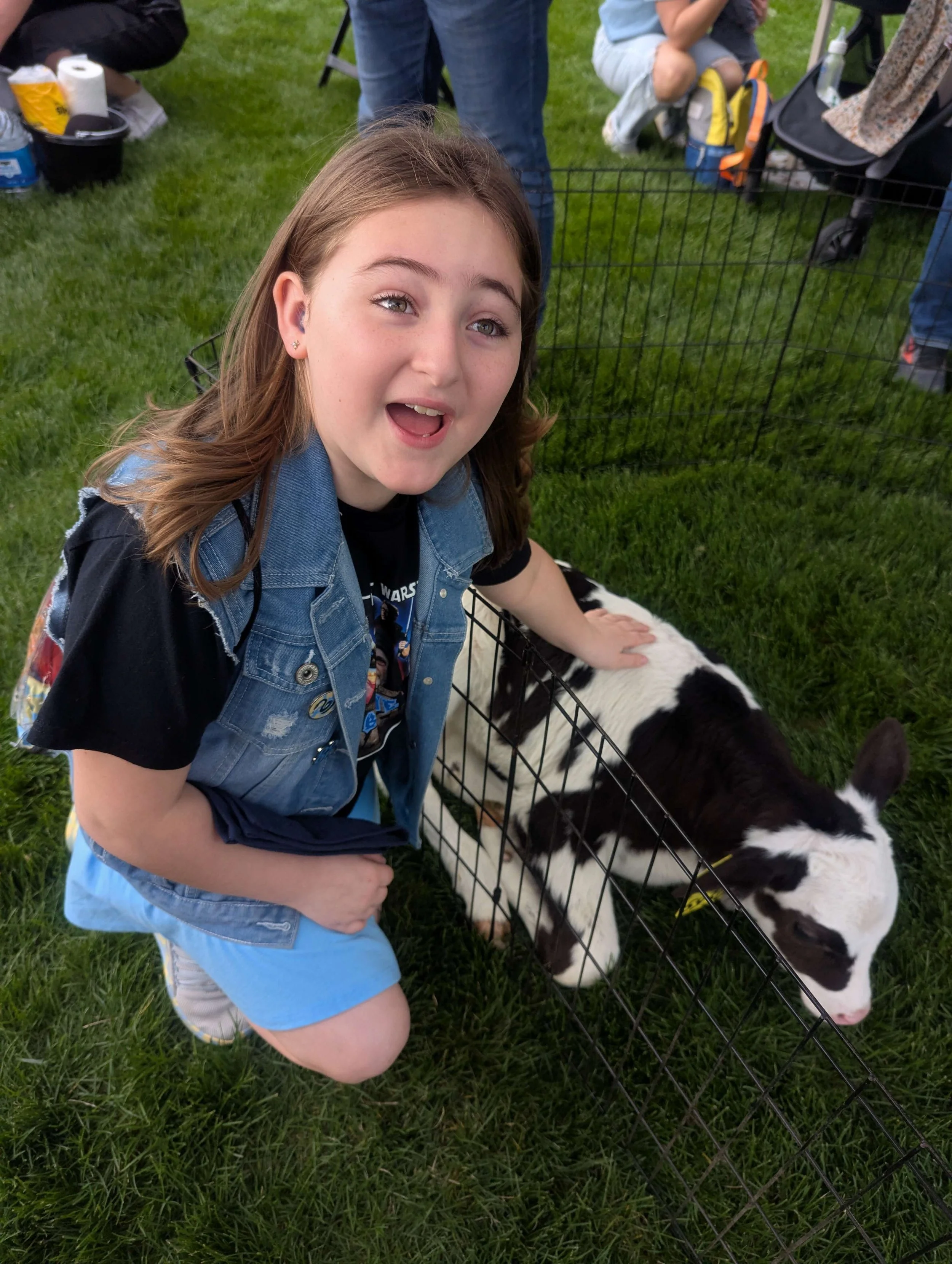 A young girl with brown hair, wearing a denim vest over a black T-shirt and blue shorts, is kneeling on the grass and smiling with her mouth open. She has her hand on a black and white calf behind a wire fence. In the background, other people and a s
