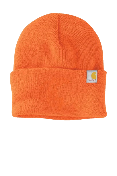 Carhartt® Watch Cap 2.0 CT104597