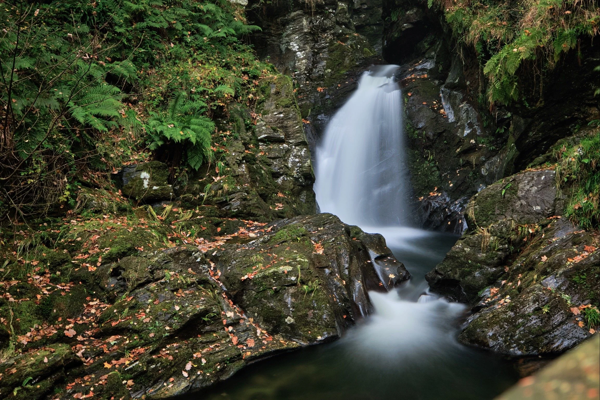 Glen Helen waterfall flowing over dark rocks surrounded by green ferns and foliage.
