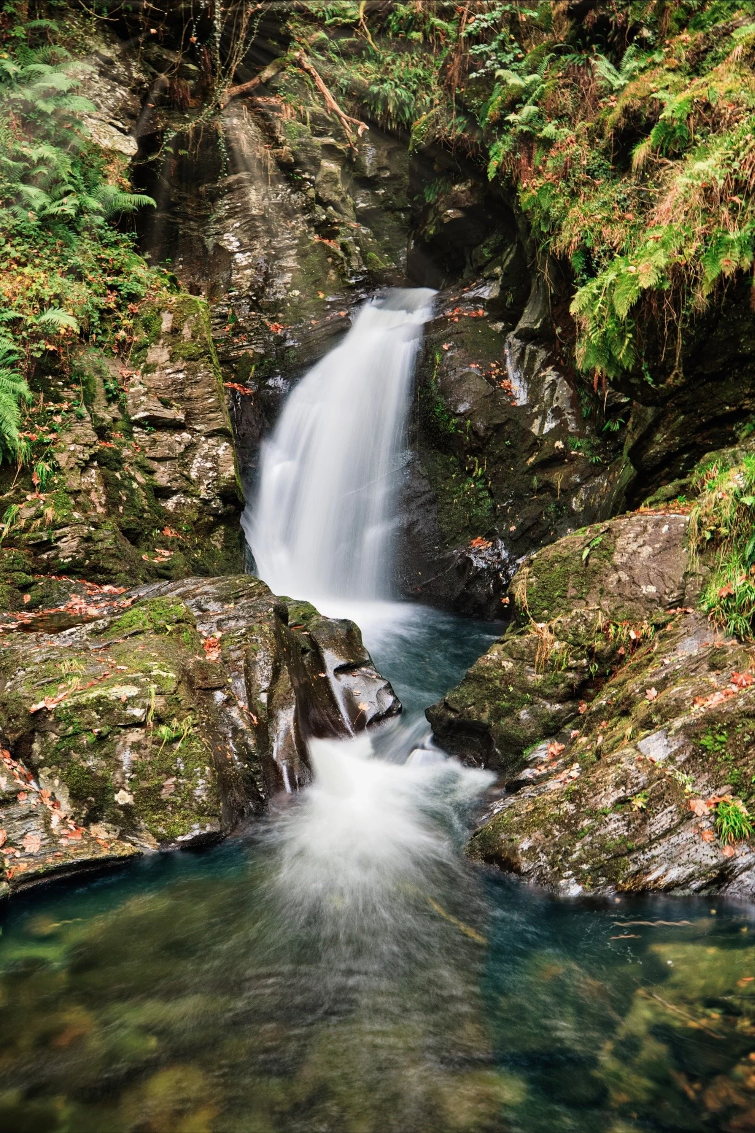 A small waterfall flowing over rocks in a lush forest, surrounded by green foliage and moss-covered rocks.