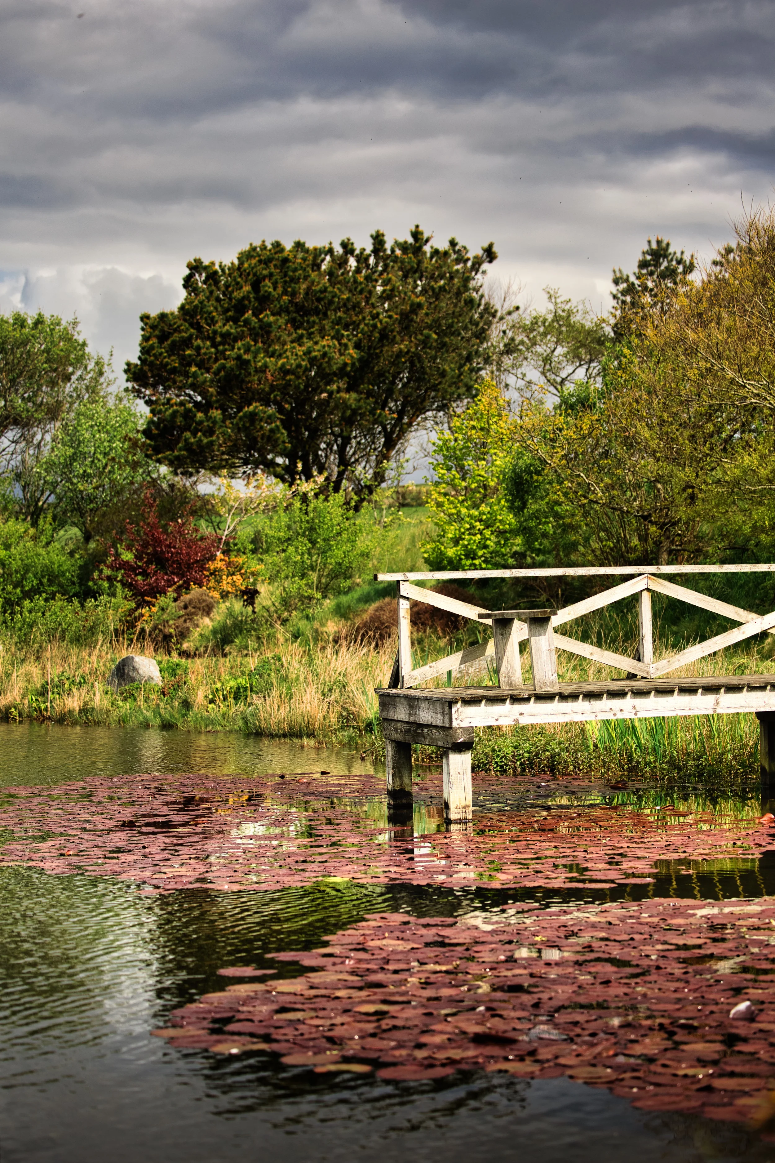 Lonan Duck Pond
