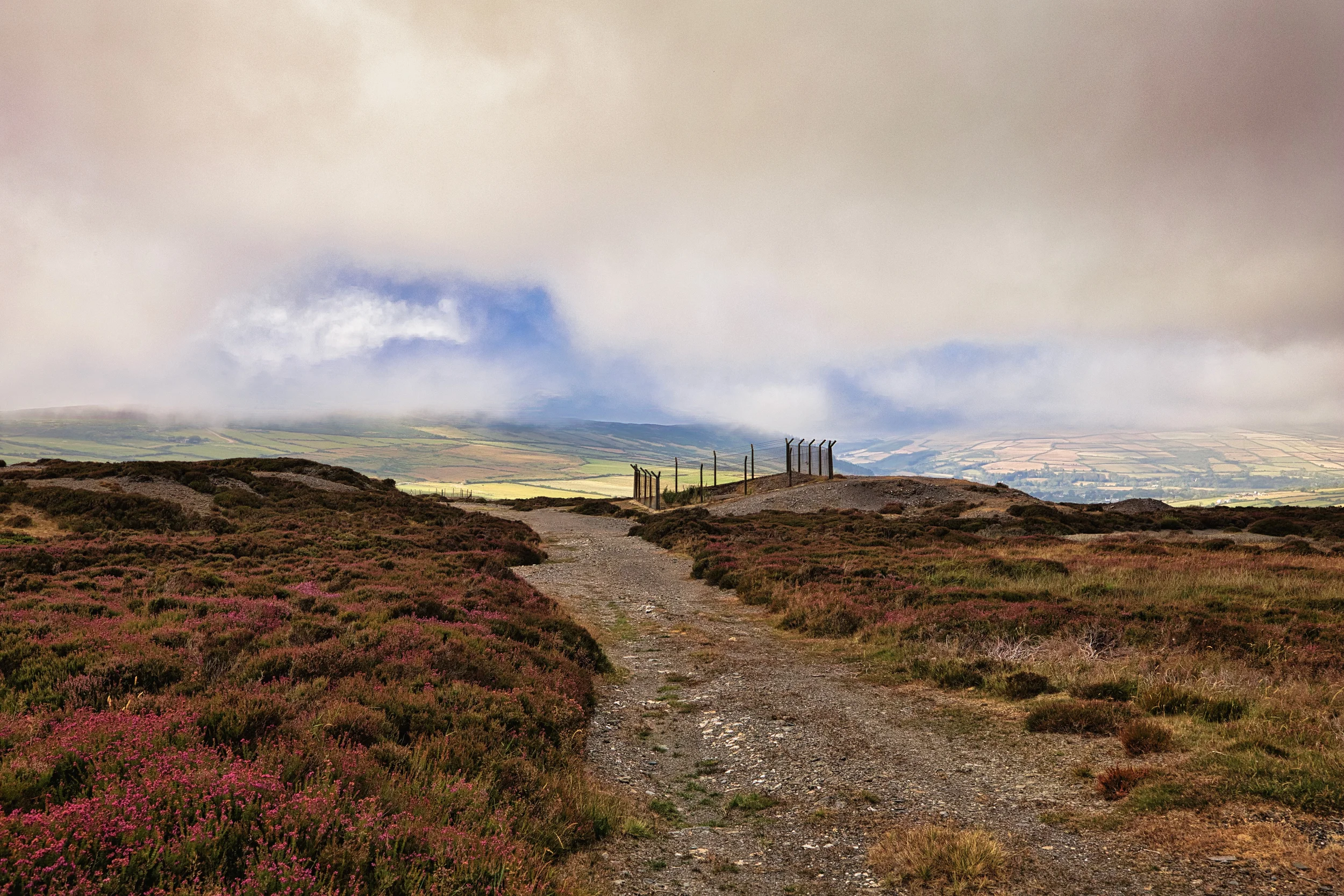 Foxdale View