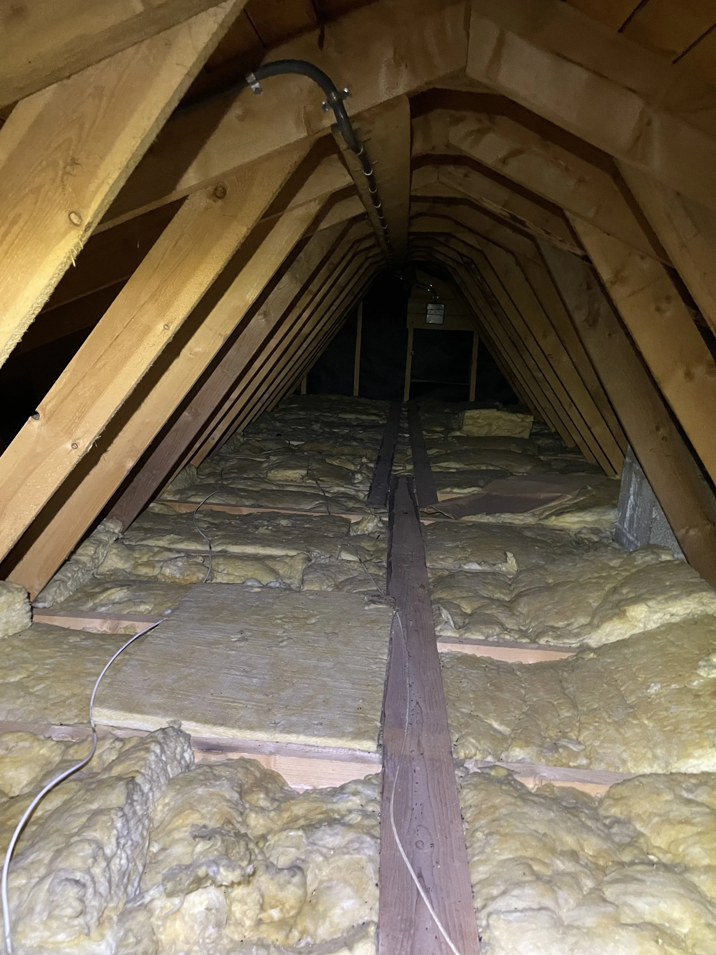 Kaldloft med gammal isolasjon og skade frå mus