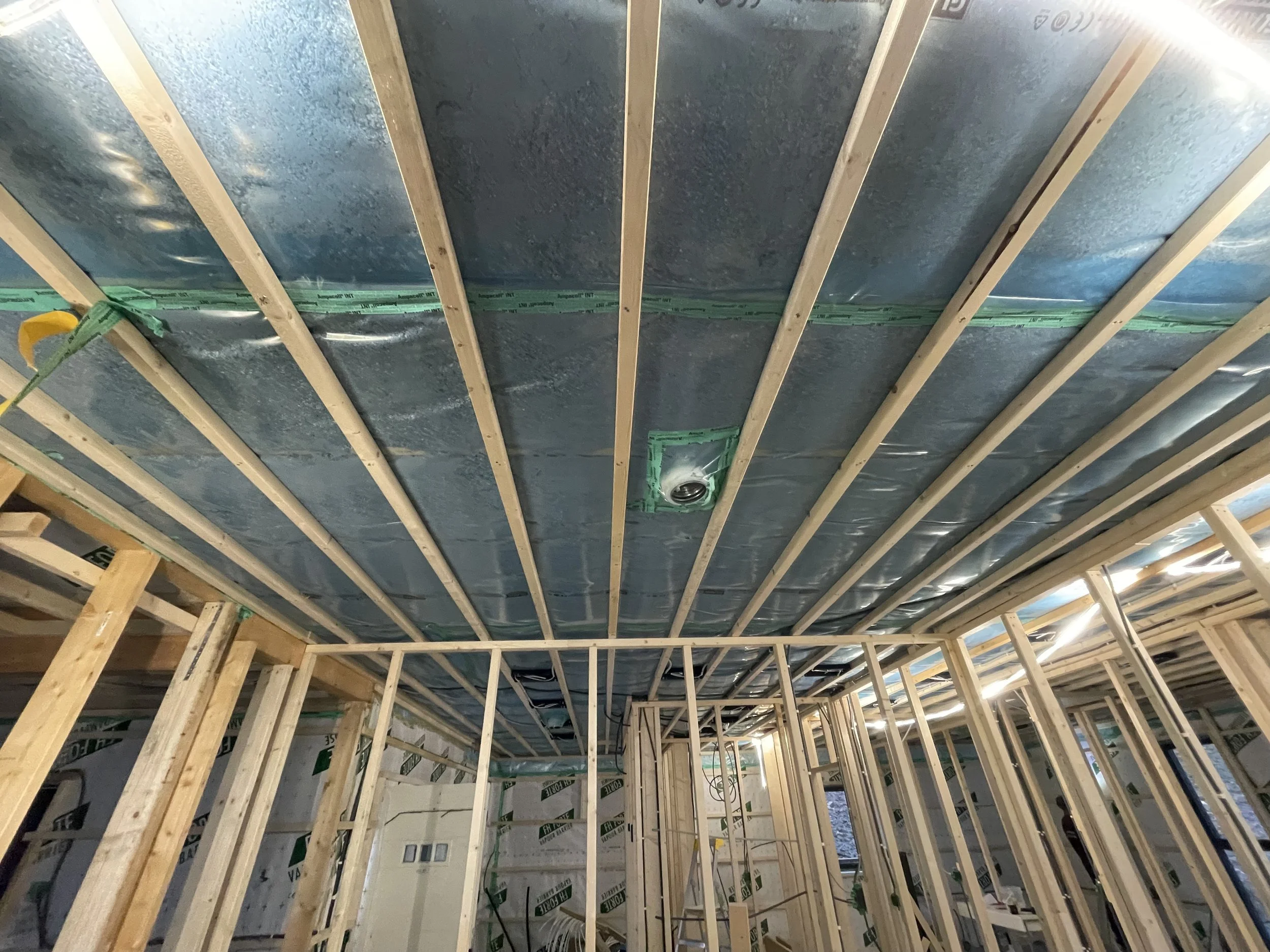 Lausblåsing sett frå undersida