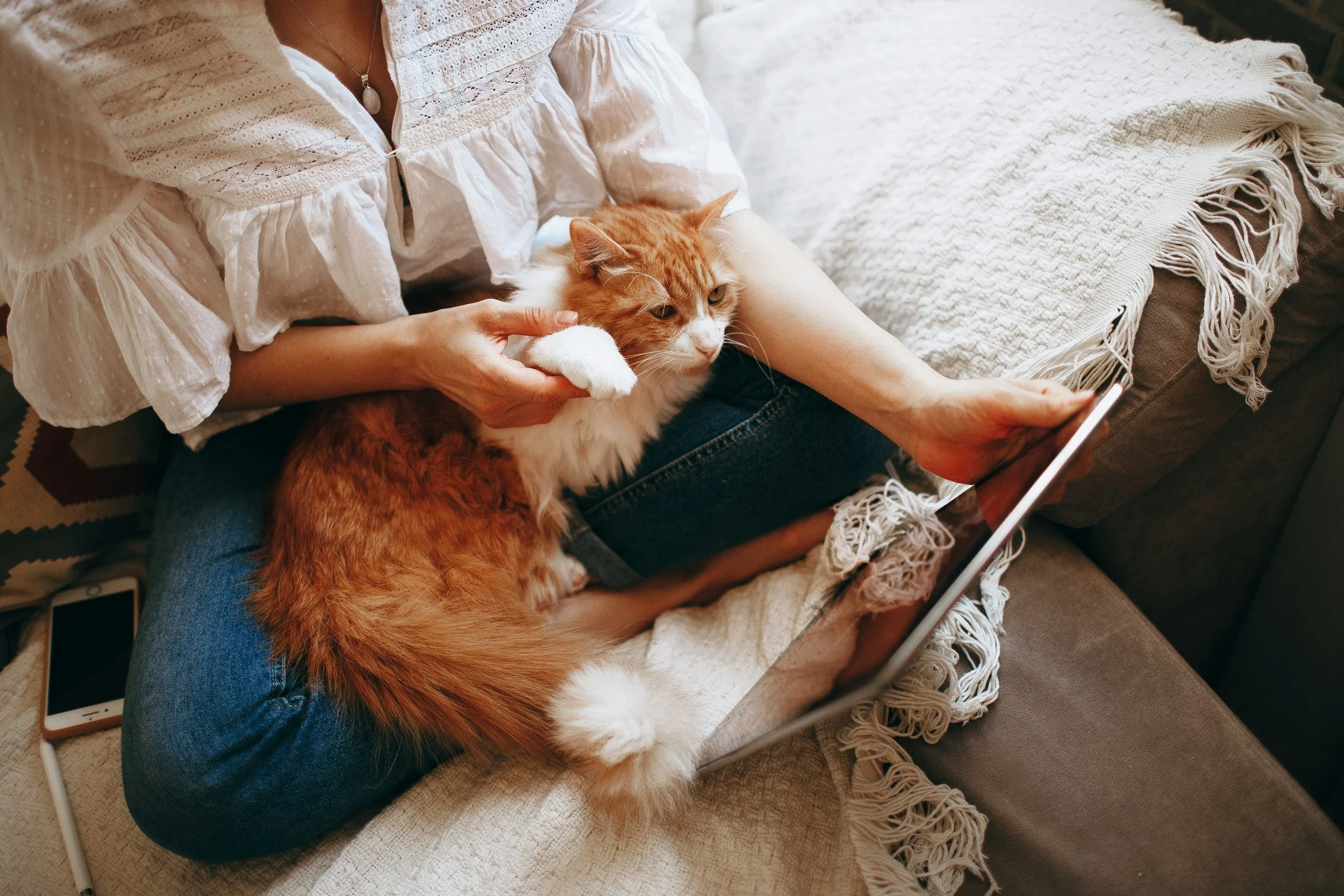 Woman sitting cross-legged on a bed reading from a tablet with an organe and white cat sitting in her lap.
