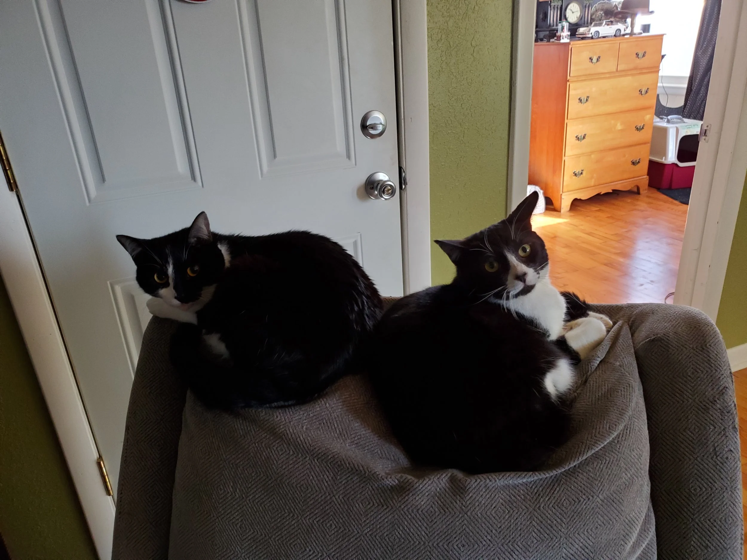 Merry (left) and Samwise (right)