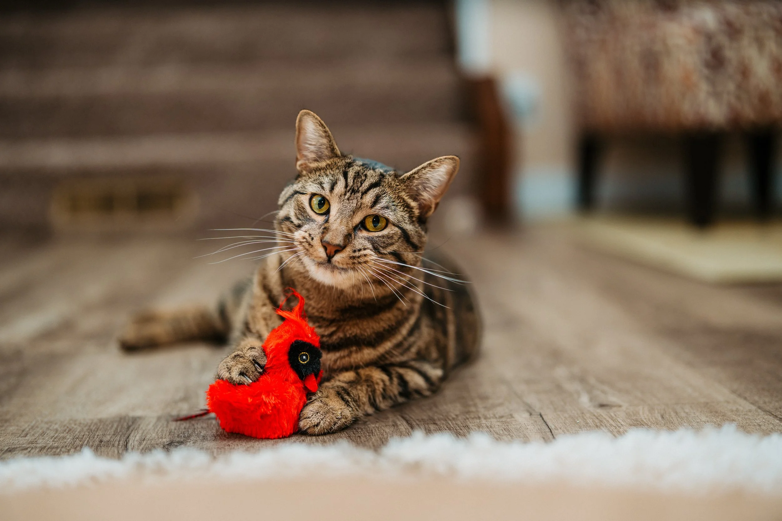 Best of Miso Sony-172.jpg