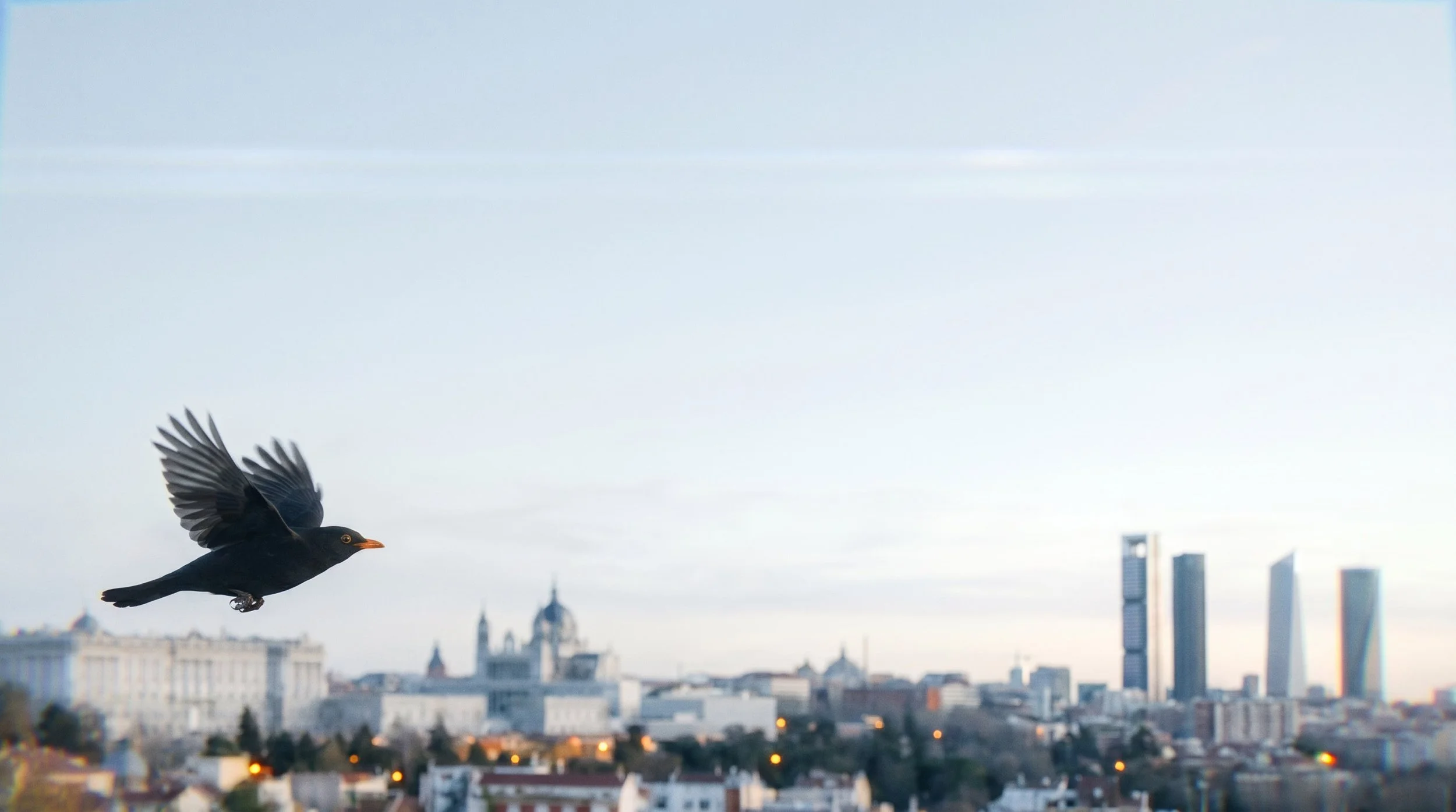 hf_20260528_080549_818b5b49-8bca-4bf8-9318-55142e2d6721 copy.jpg