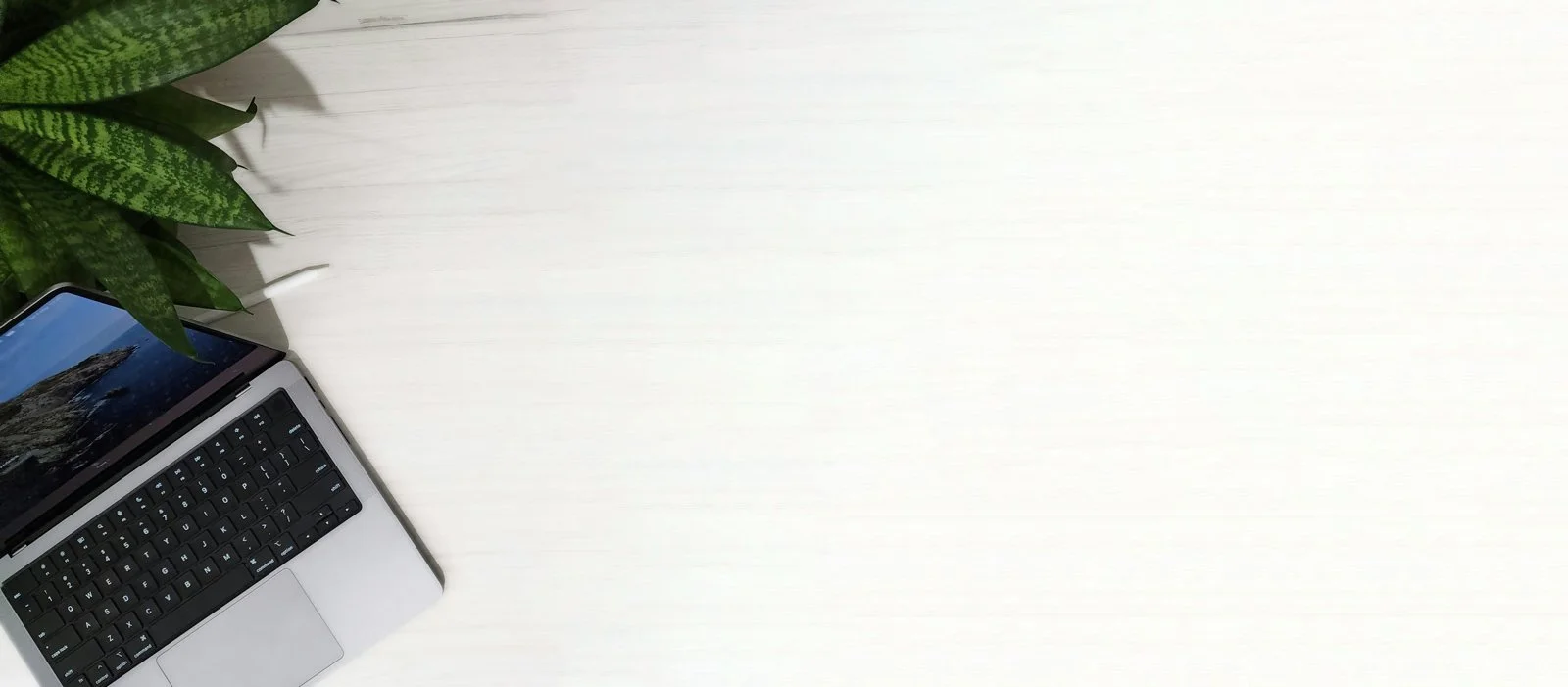 Top view of a white desk with a laptop, green houseplant on the left corner, and a blank space.