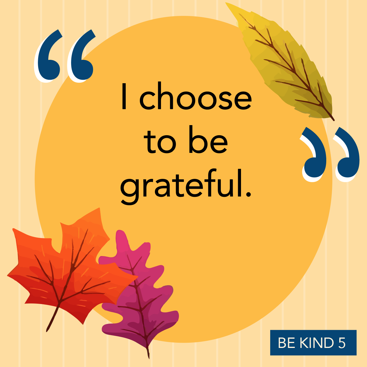 30 days of Gratitude