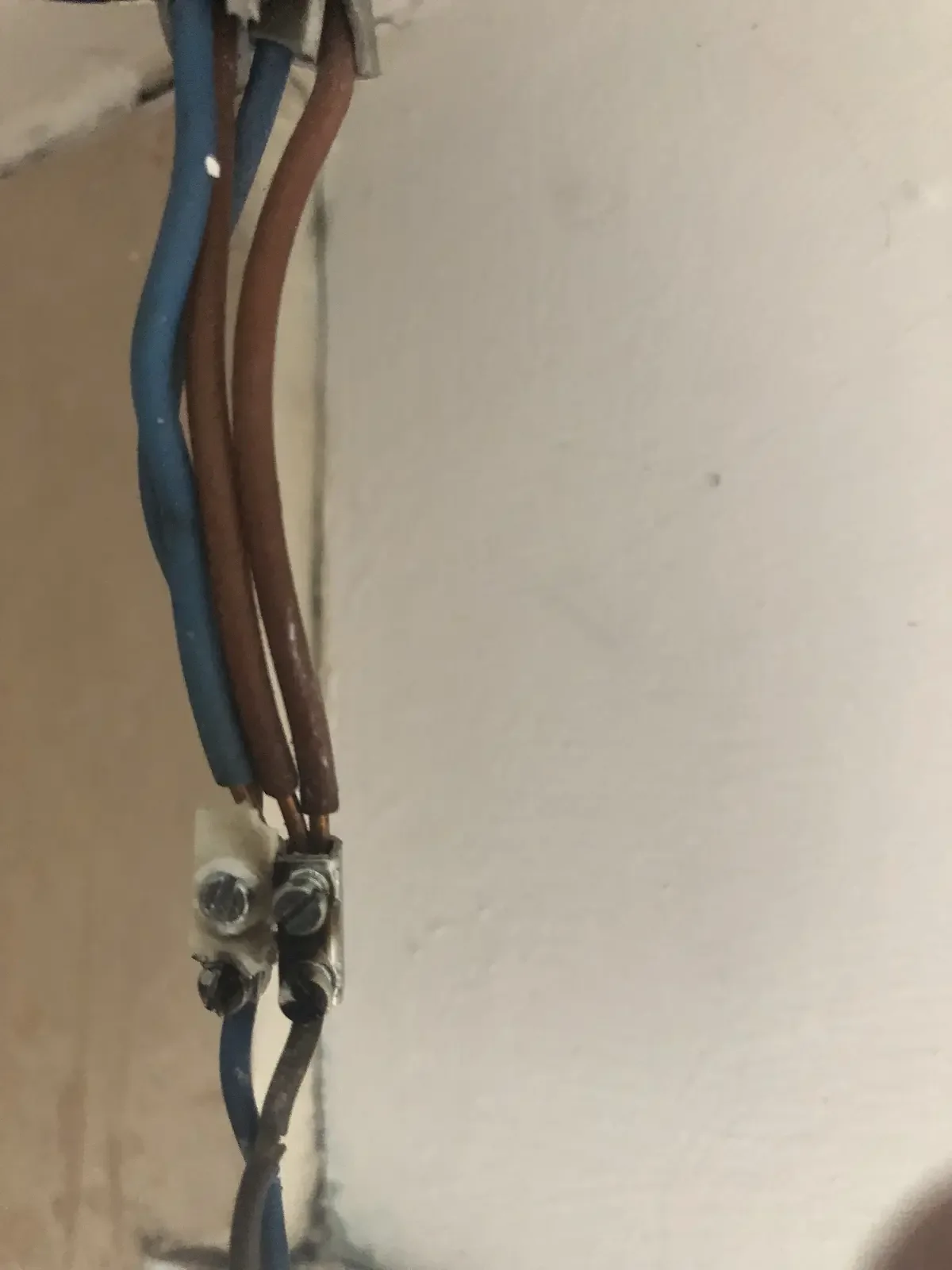 Close-up of electrical wires connected to a wall, with three wires in blue and brown, secured by screws.