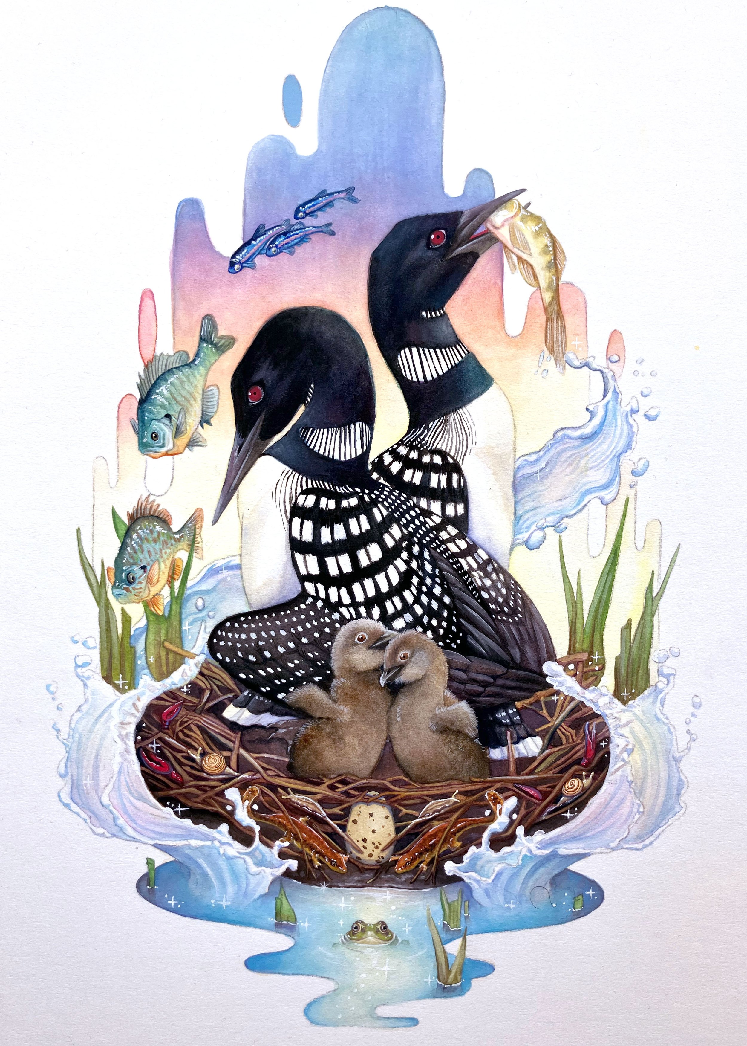 loons.jpg