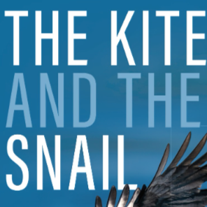 Book Group Discussion Questions