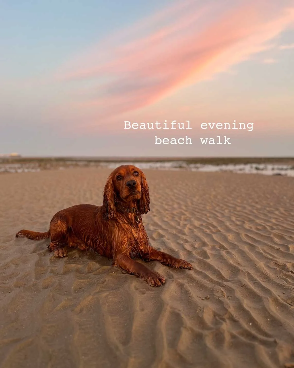 beach.jpg