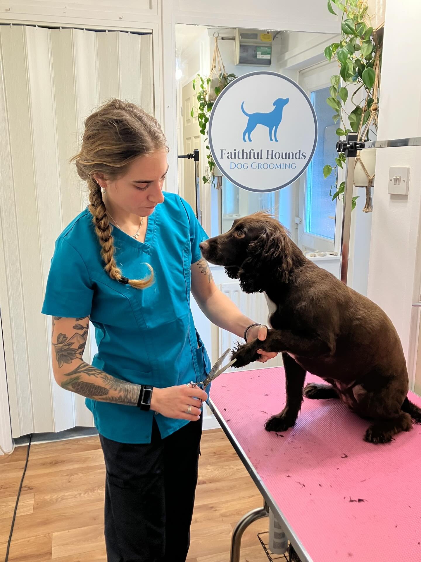 Faithful Hounds Dog Grooming &ndash; Bewbush, Crawley
A calm, caring home salon where your dog is groomed at their own pace&mdash;no rush, no stress, just gentle care.

✨ Services include:
🐾 Nail clipping
🛁 Bathing &amp; blow-dry
✂️ Hair cutting &a