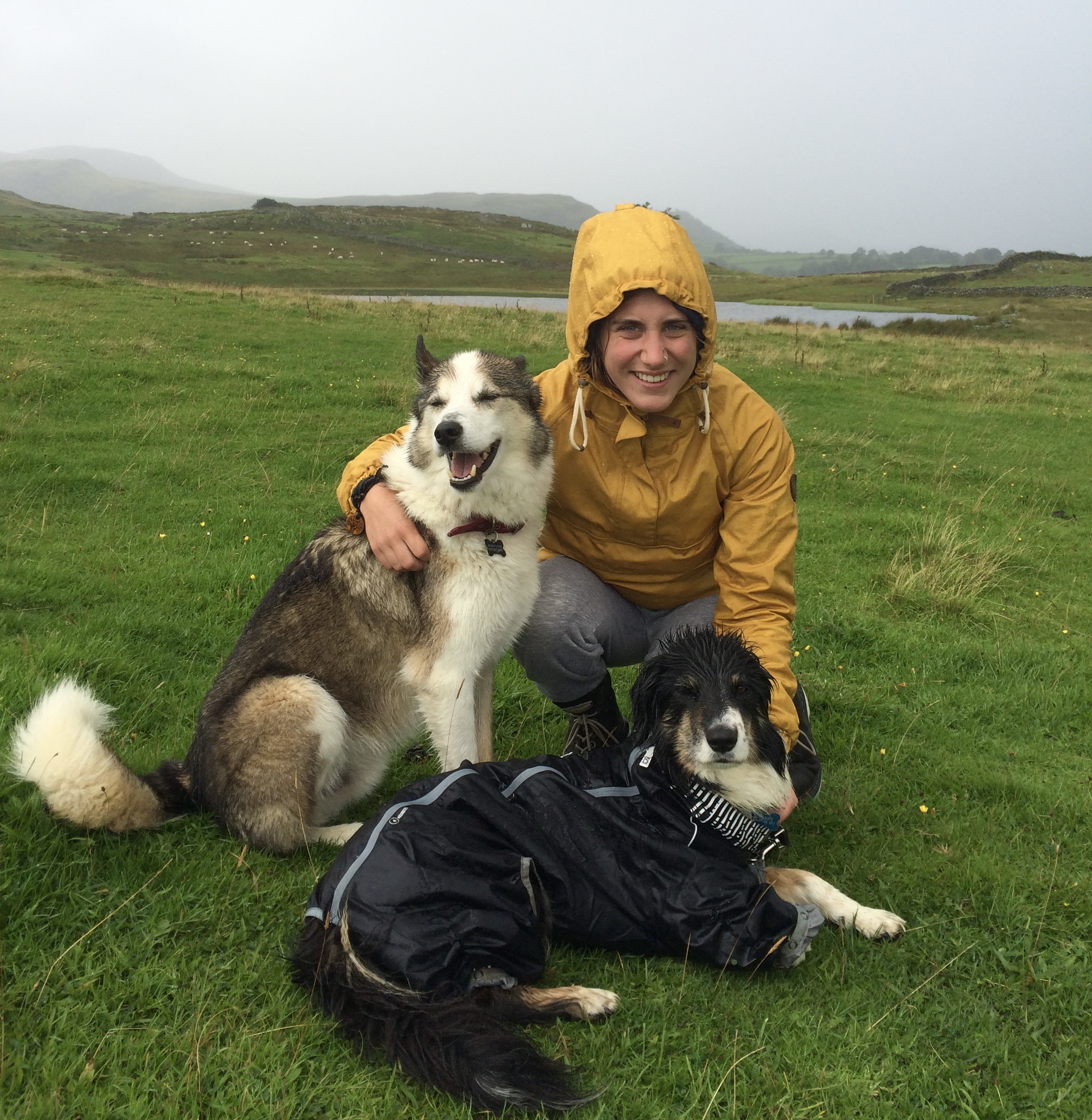 A woman in a yellow raincoat and gray pants kneels on green grass, smiling, with two dogs, one sitting and one lying down, in a scenic outdoor landscape with hills and water in the background, on a cloudy day.