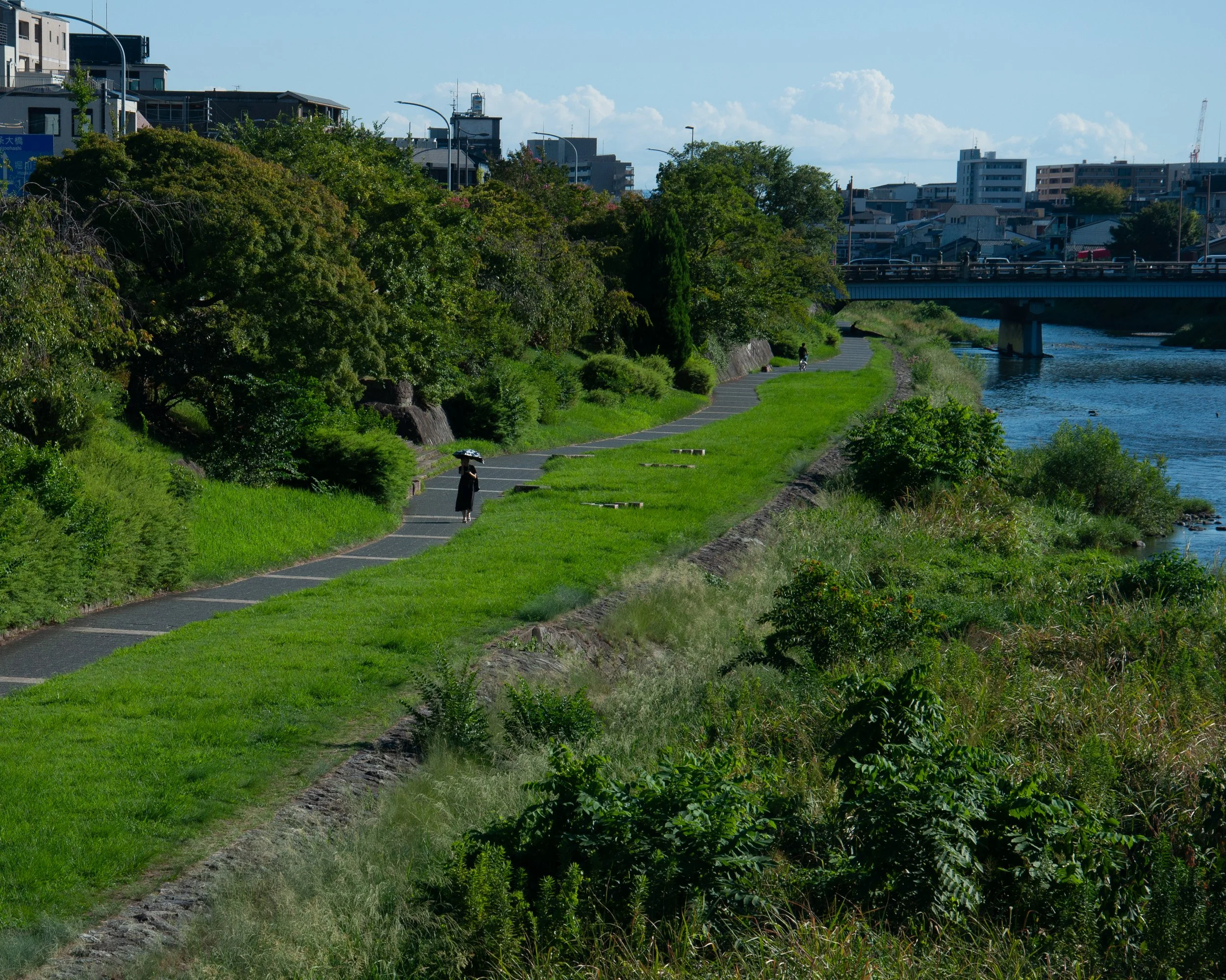 20250901 Shehryar 36.jpg