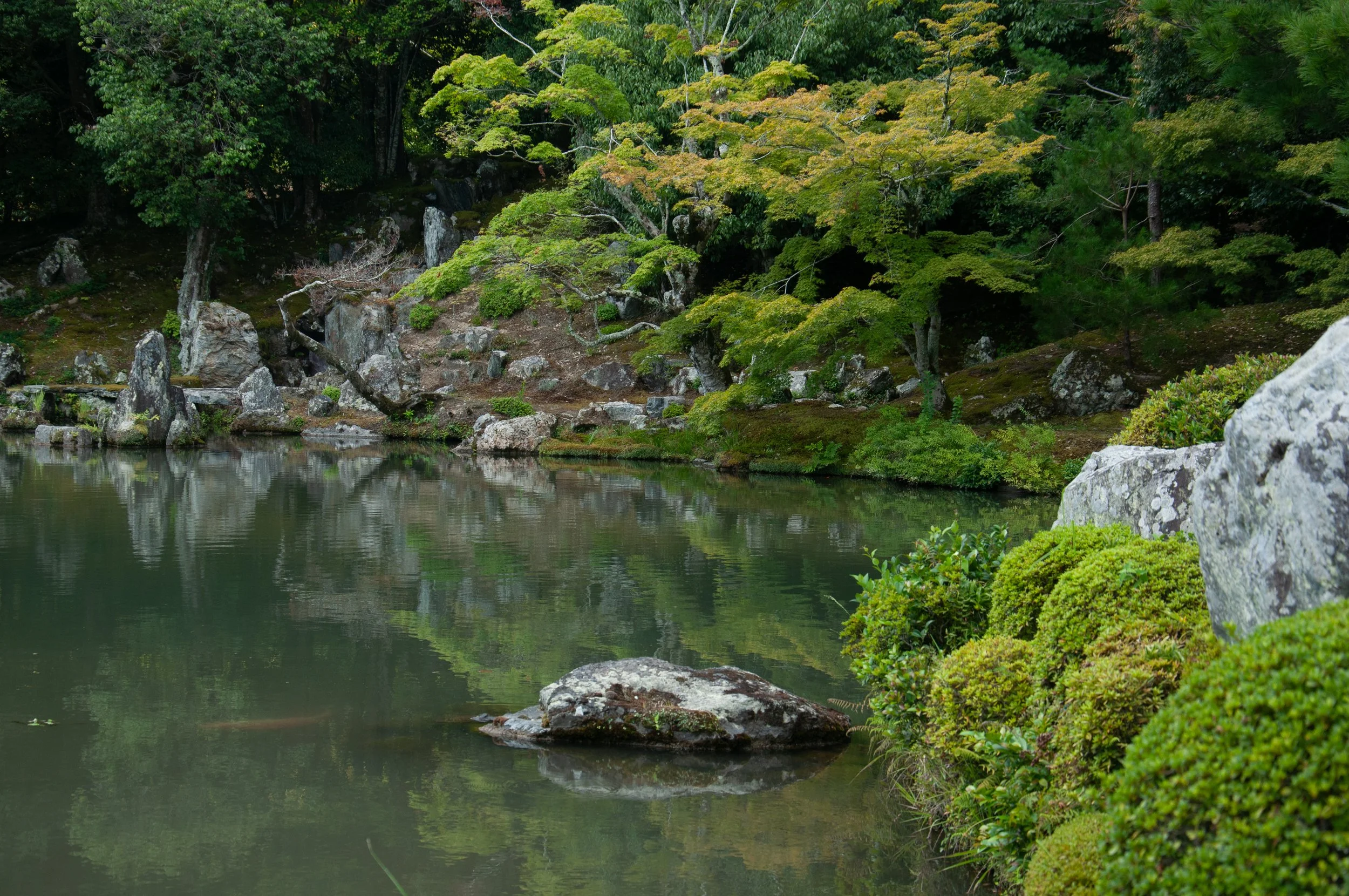 20250902 Shehryar 38.jpg