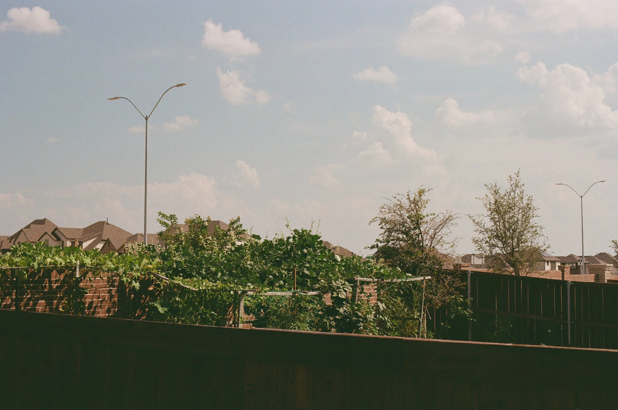 20250923 Shehryar 67.jpg