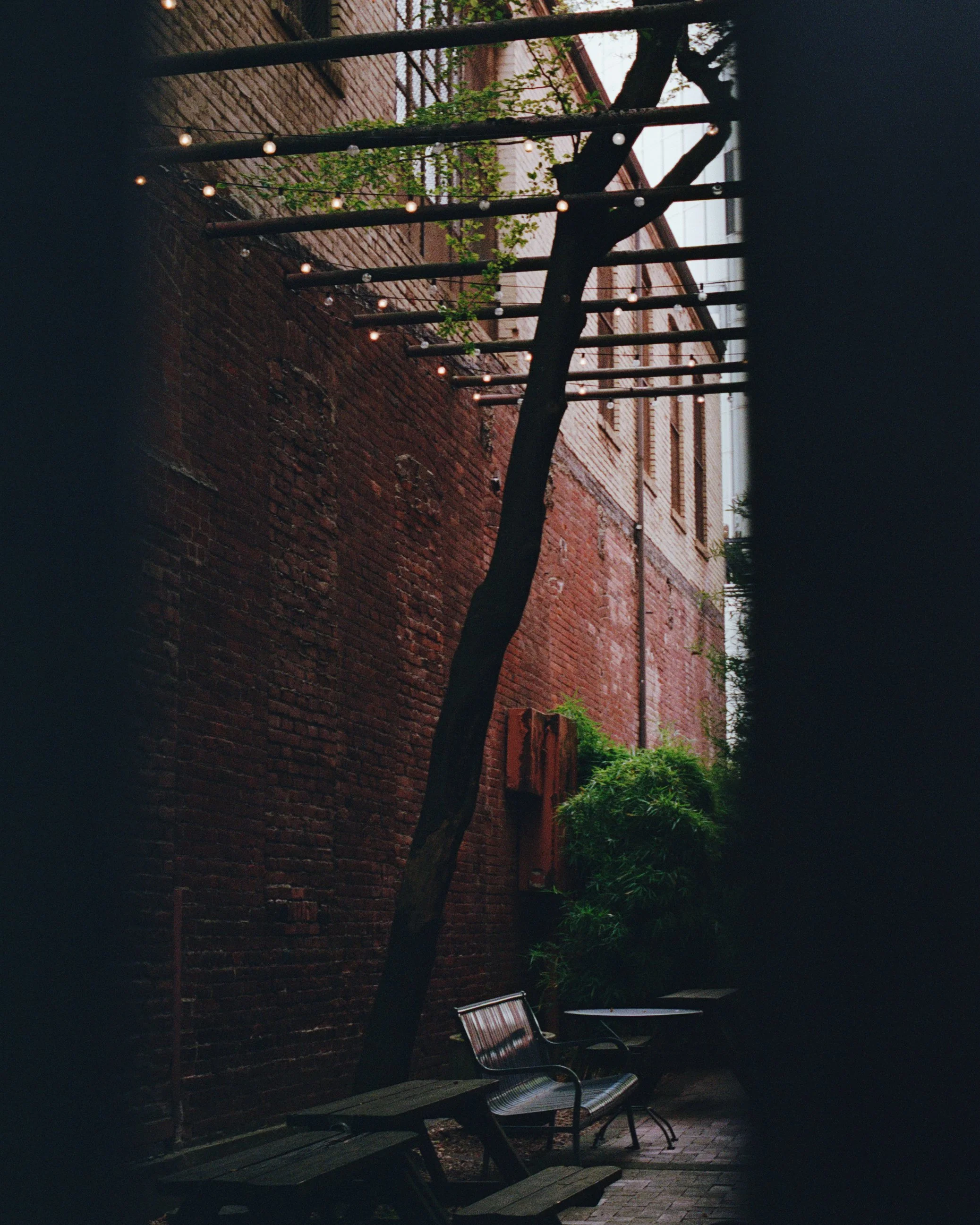 20251017 Shehryar 83.jpg