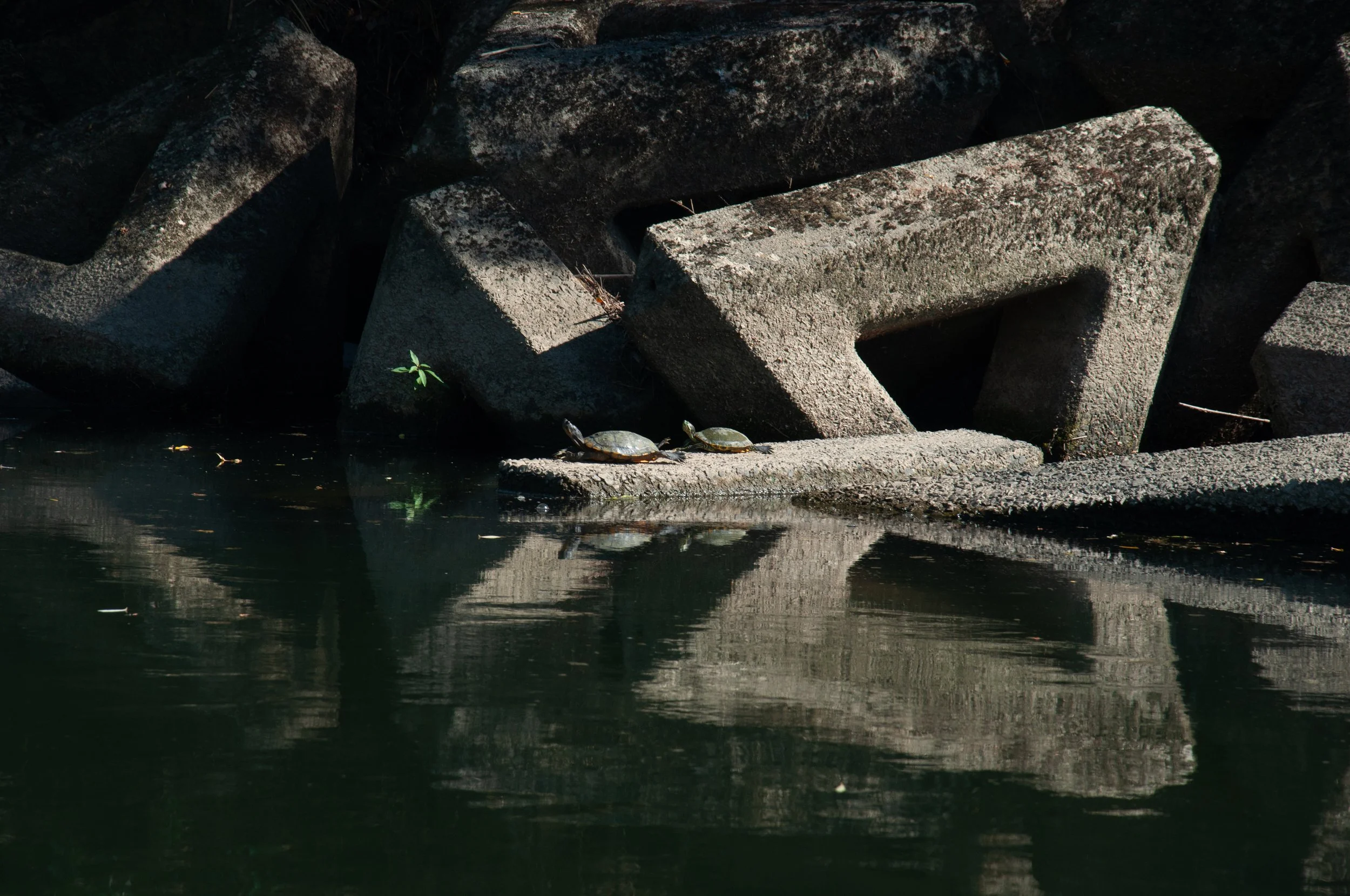 20250902 Shehryar 42.jpg