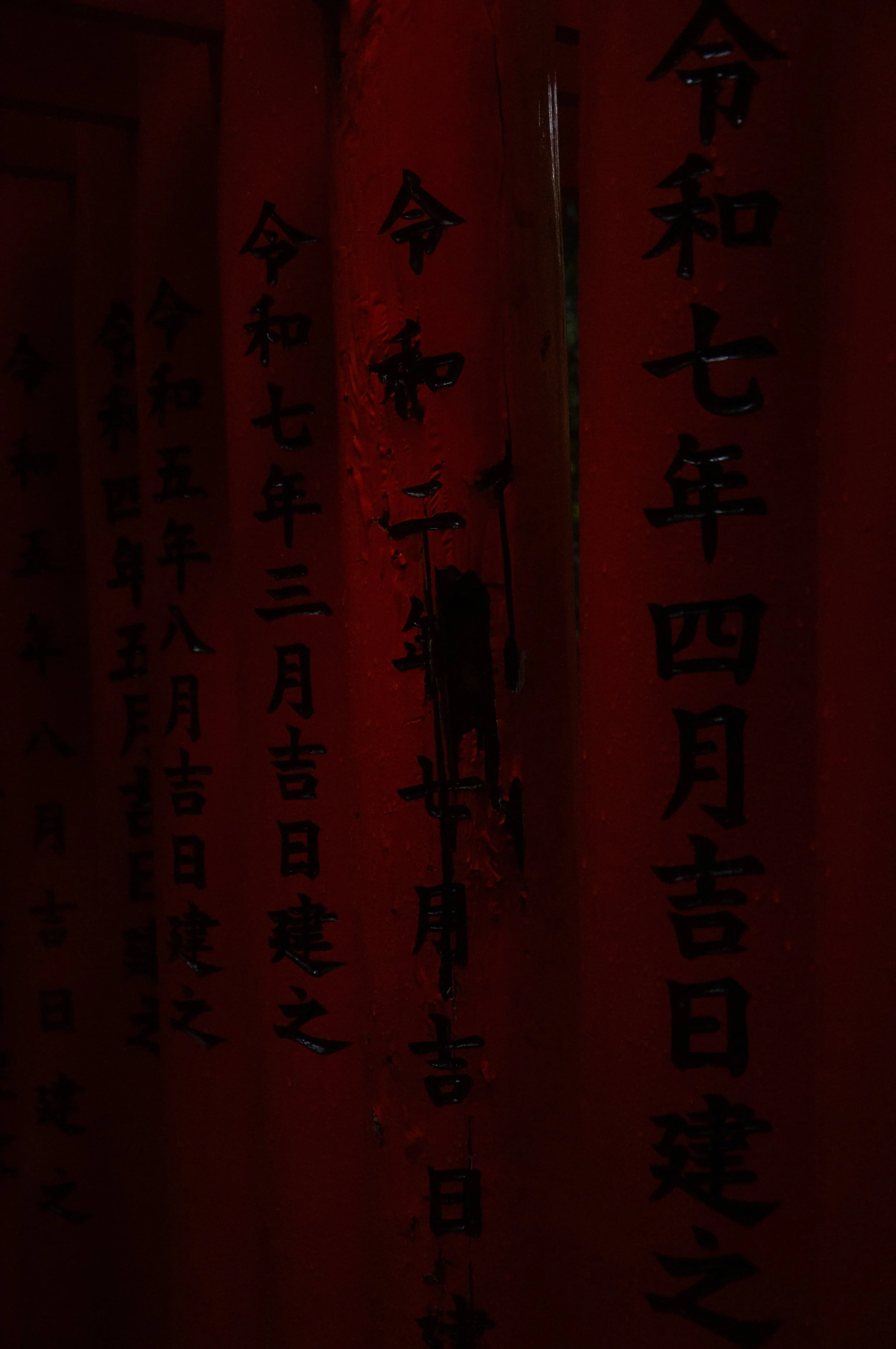 20250905 Shehryar 51.jpg