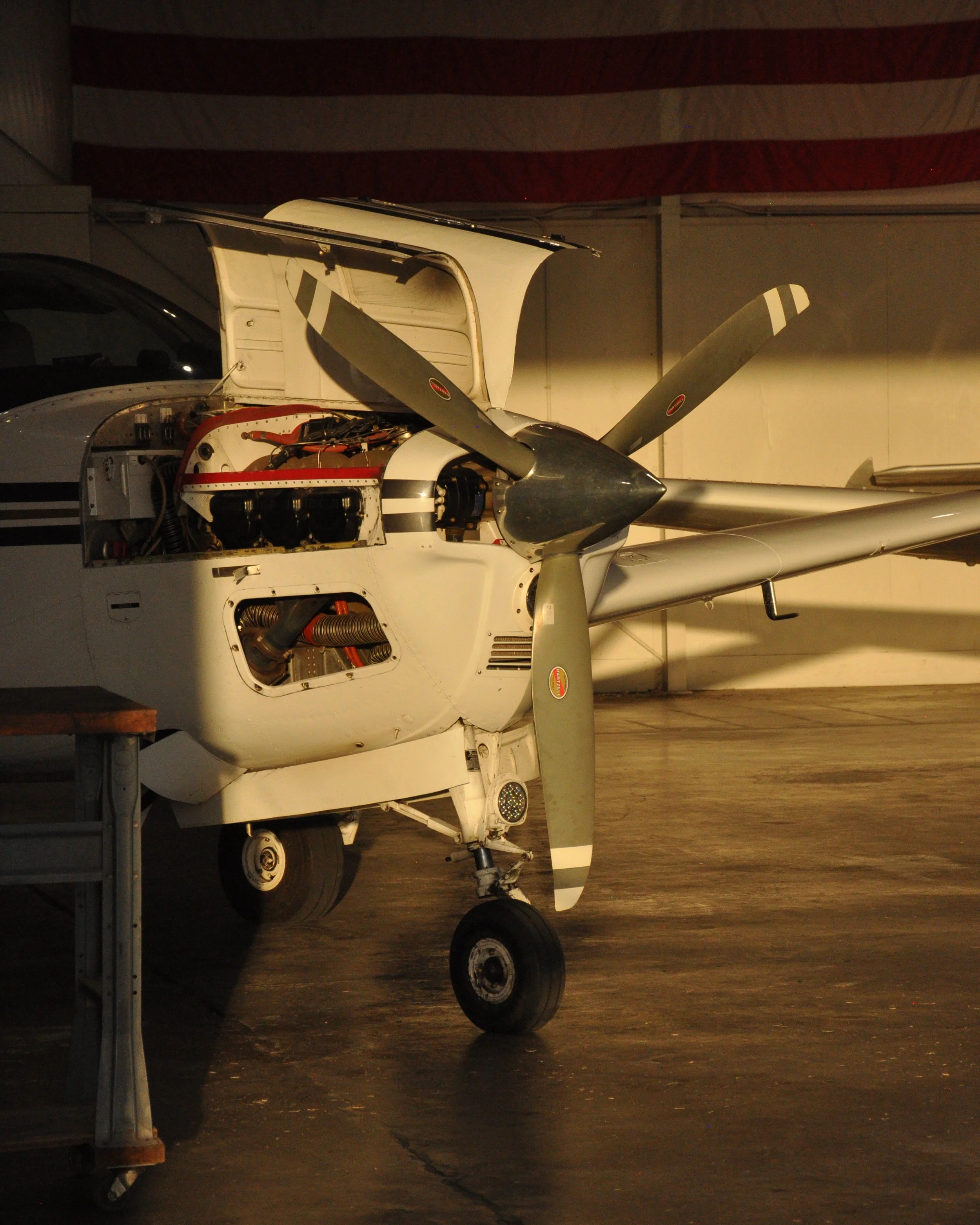 20250814 Shehryar 13.jpg