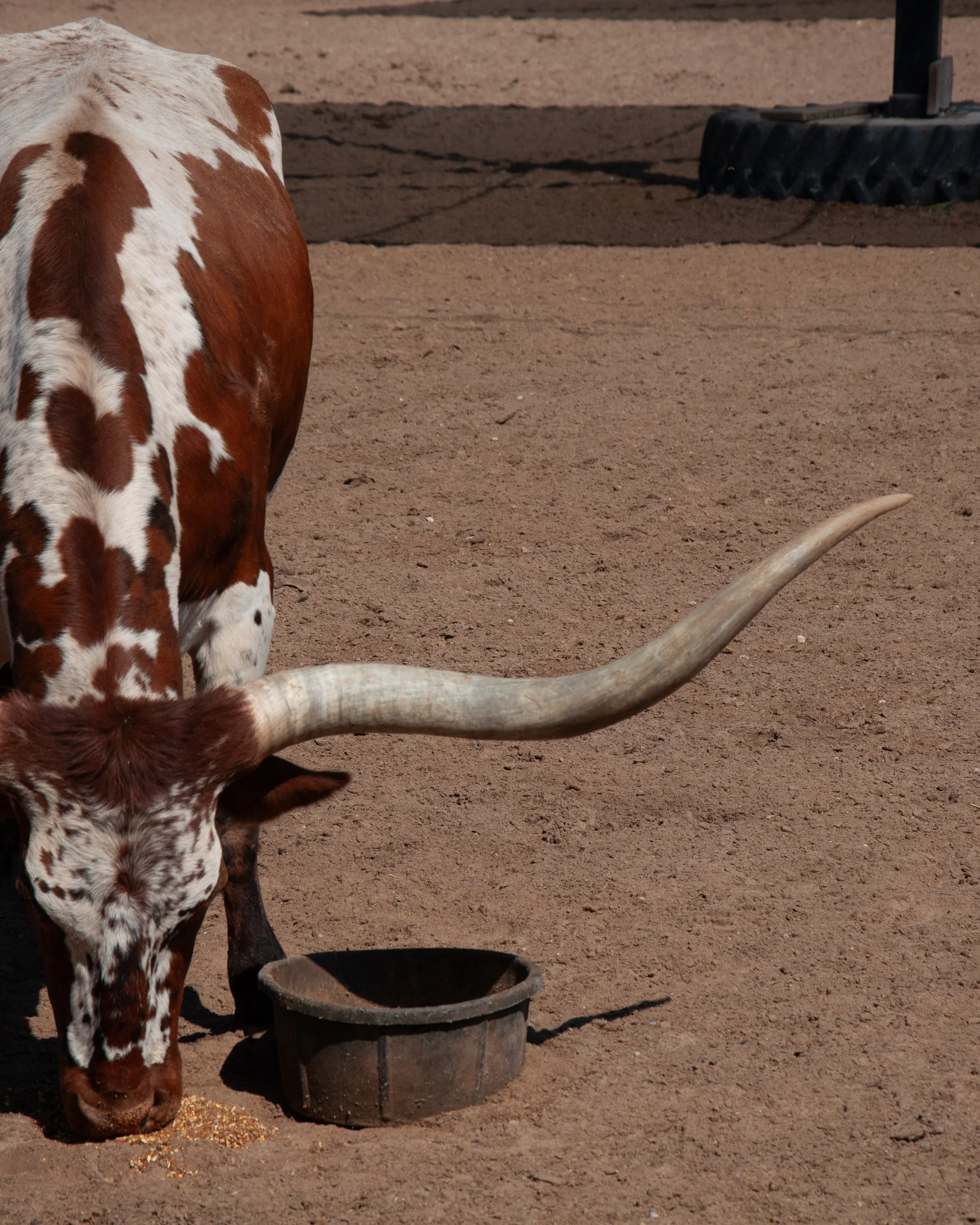 20250926 Shehryar 74.jpg