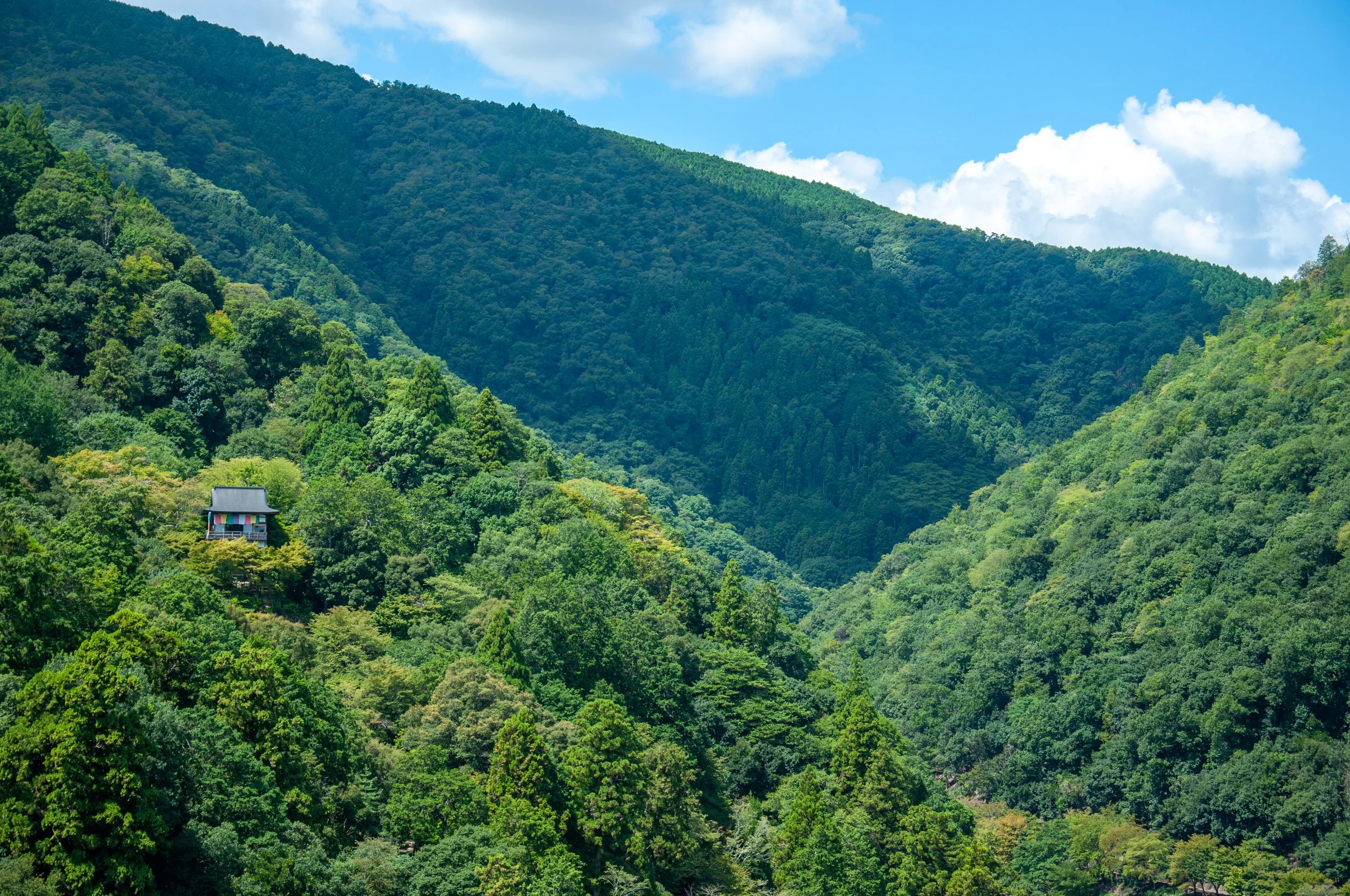 Japan