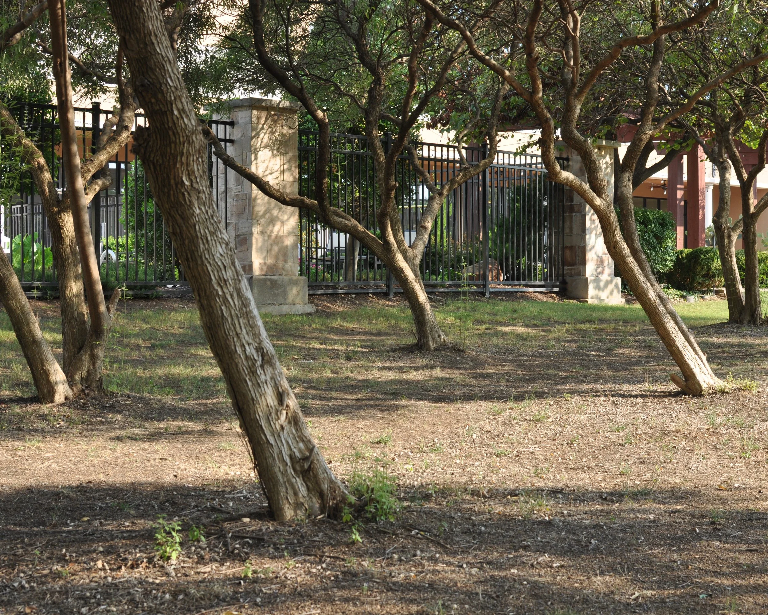 20250825 Shehryar 26.jpg