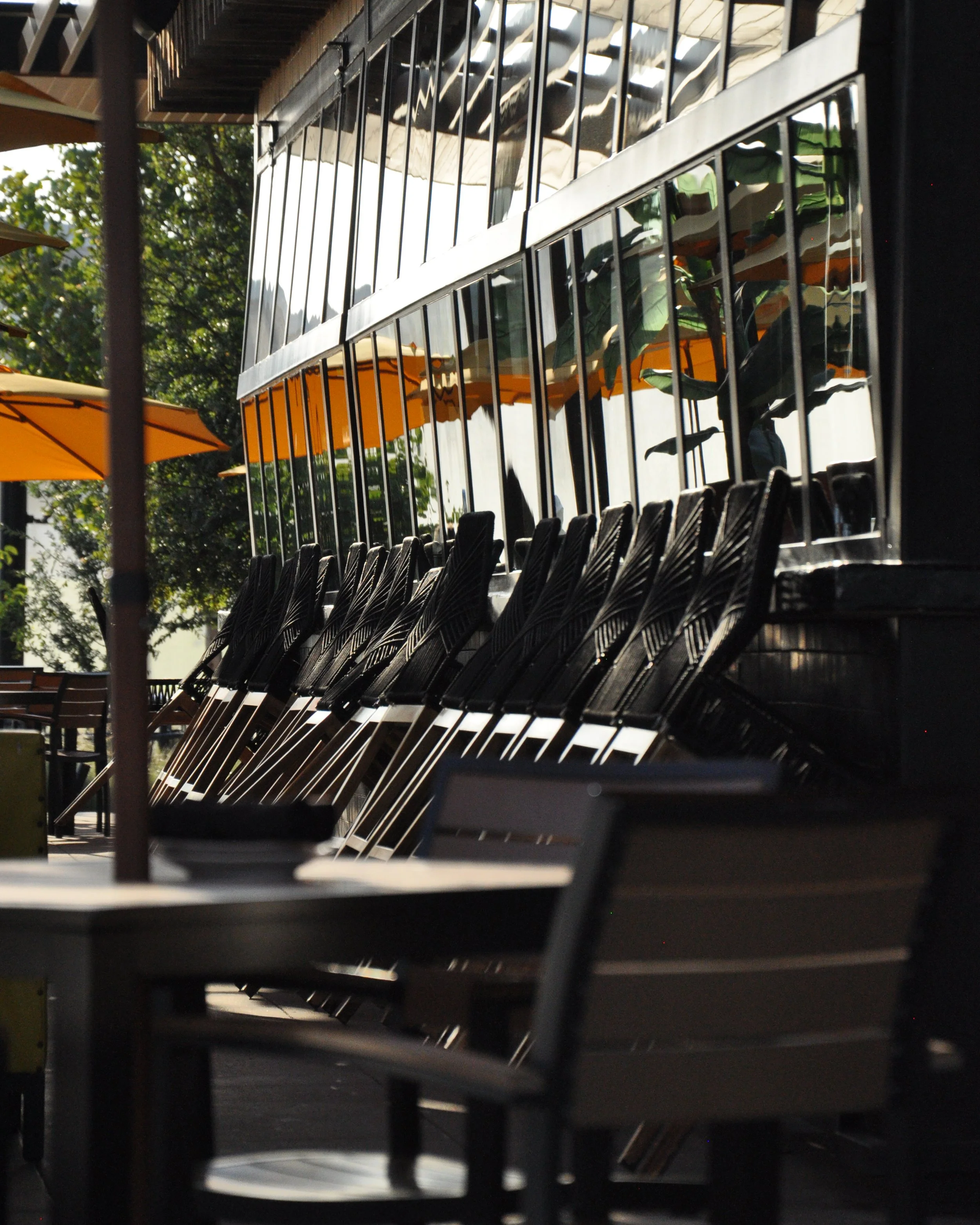 20250814 Shehryar 11.jpg