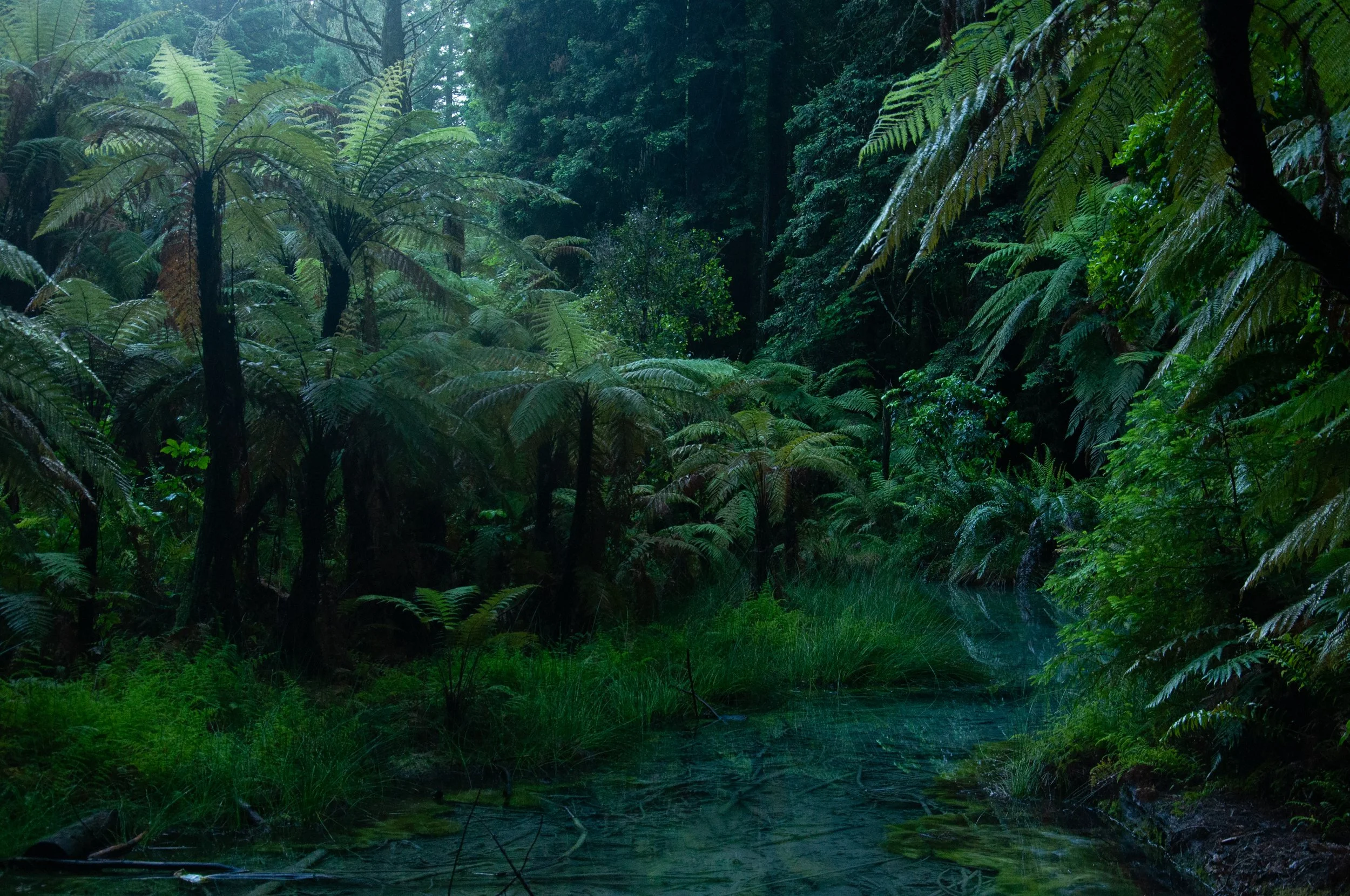 New Zealand