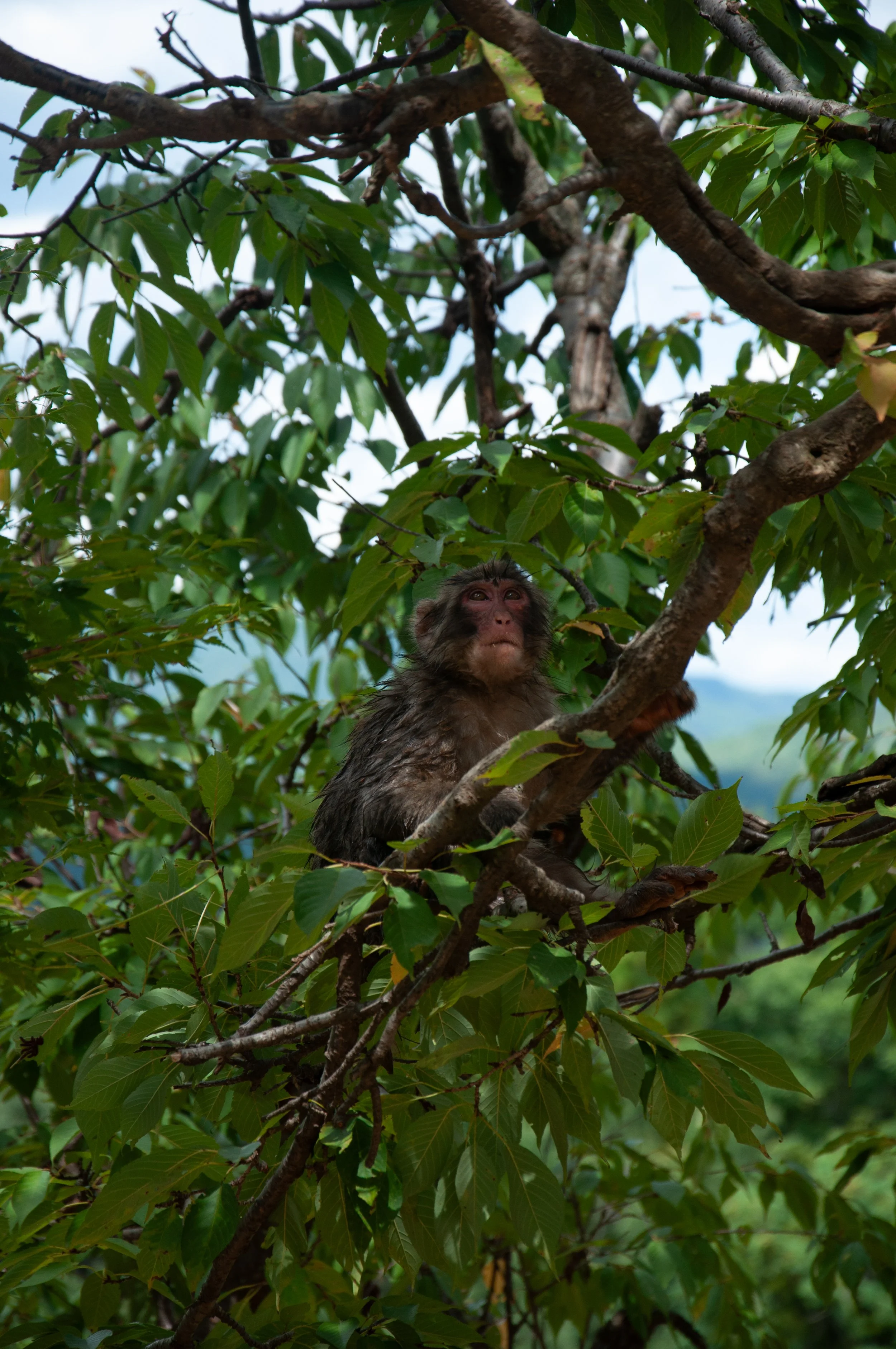 20250902 Shehryar 41.jpg