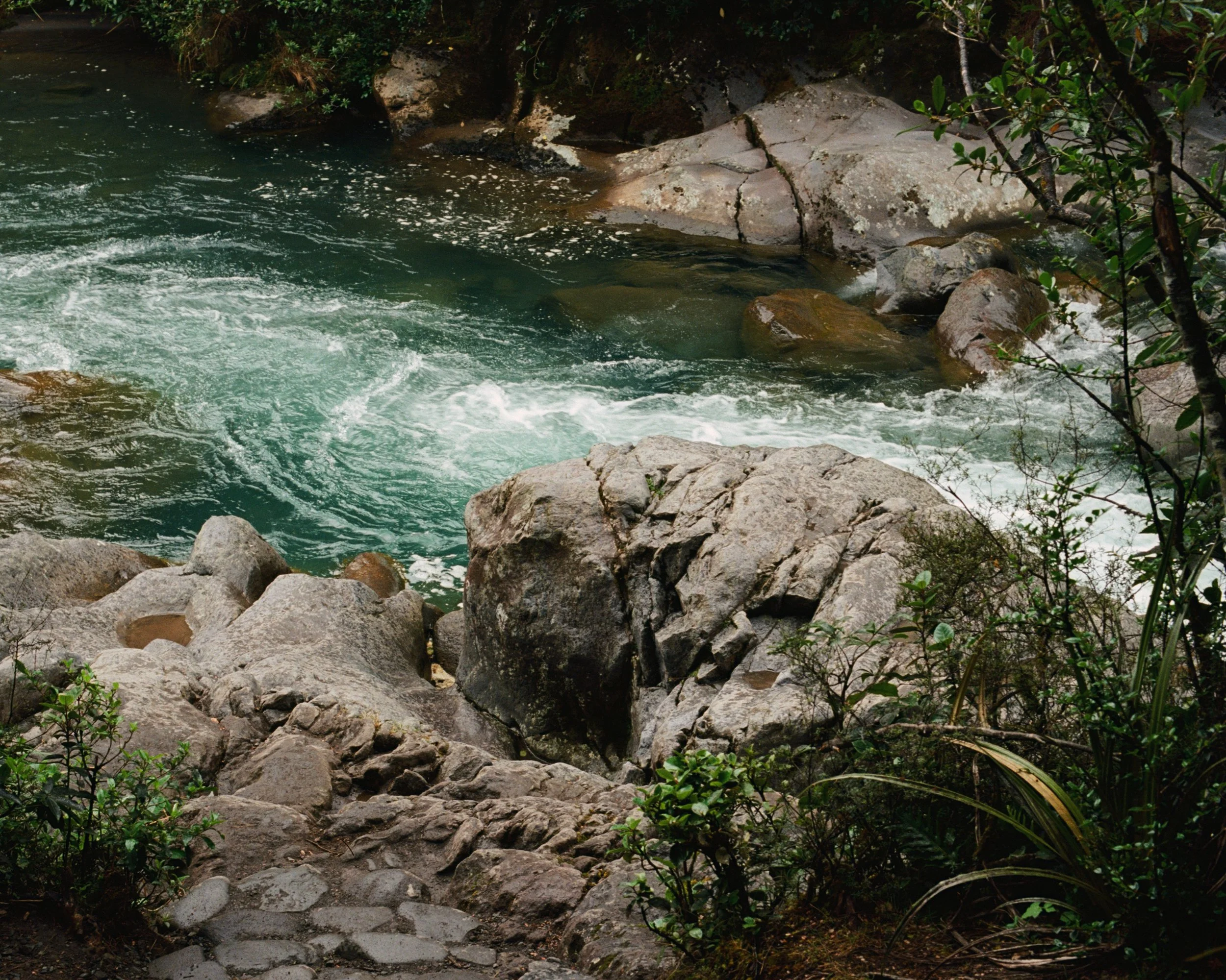 20251216 New Zealand 06.jpg