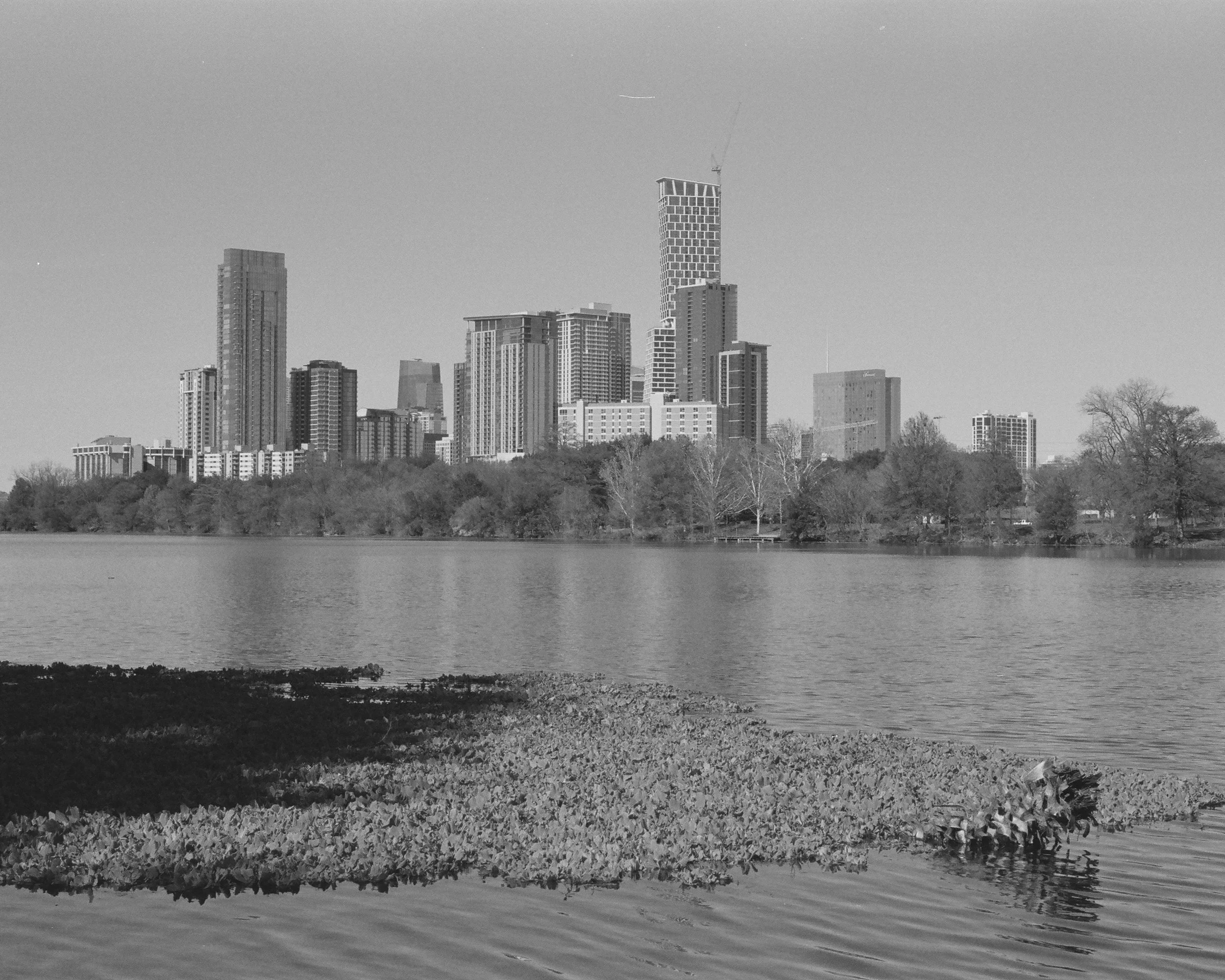 20260130 B&W 03.jpg