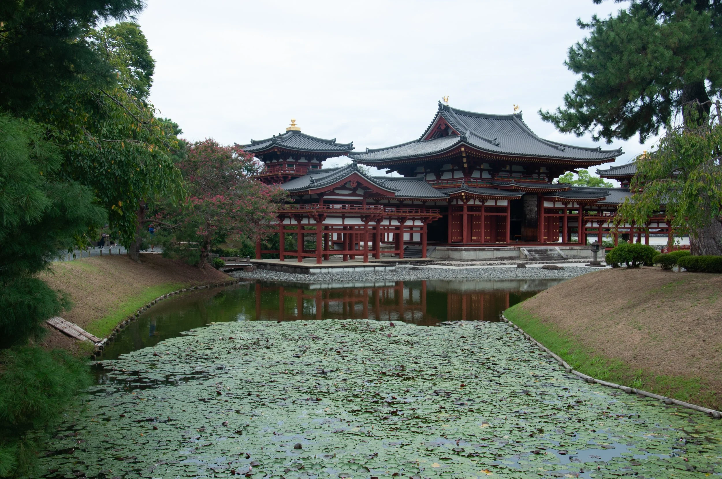 20250904 Shehryar 47.jpg