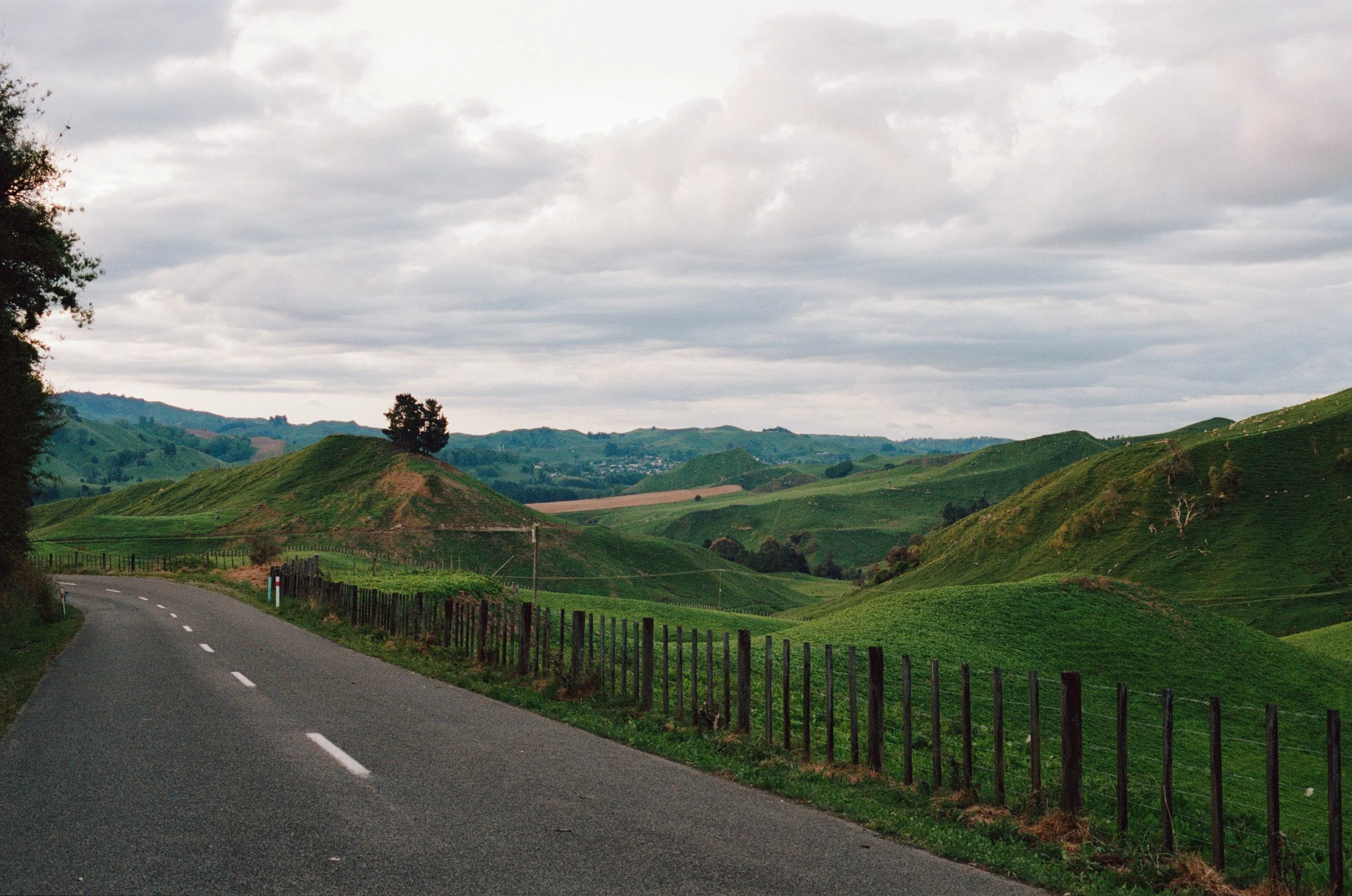 20251216 New Zealand 12.jpg