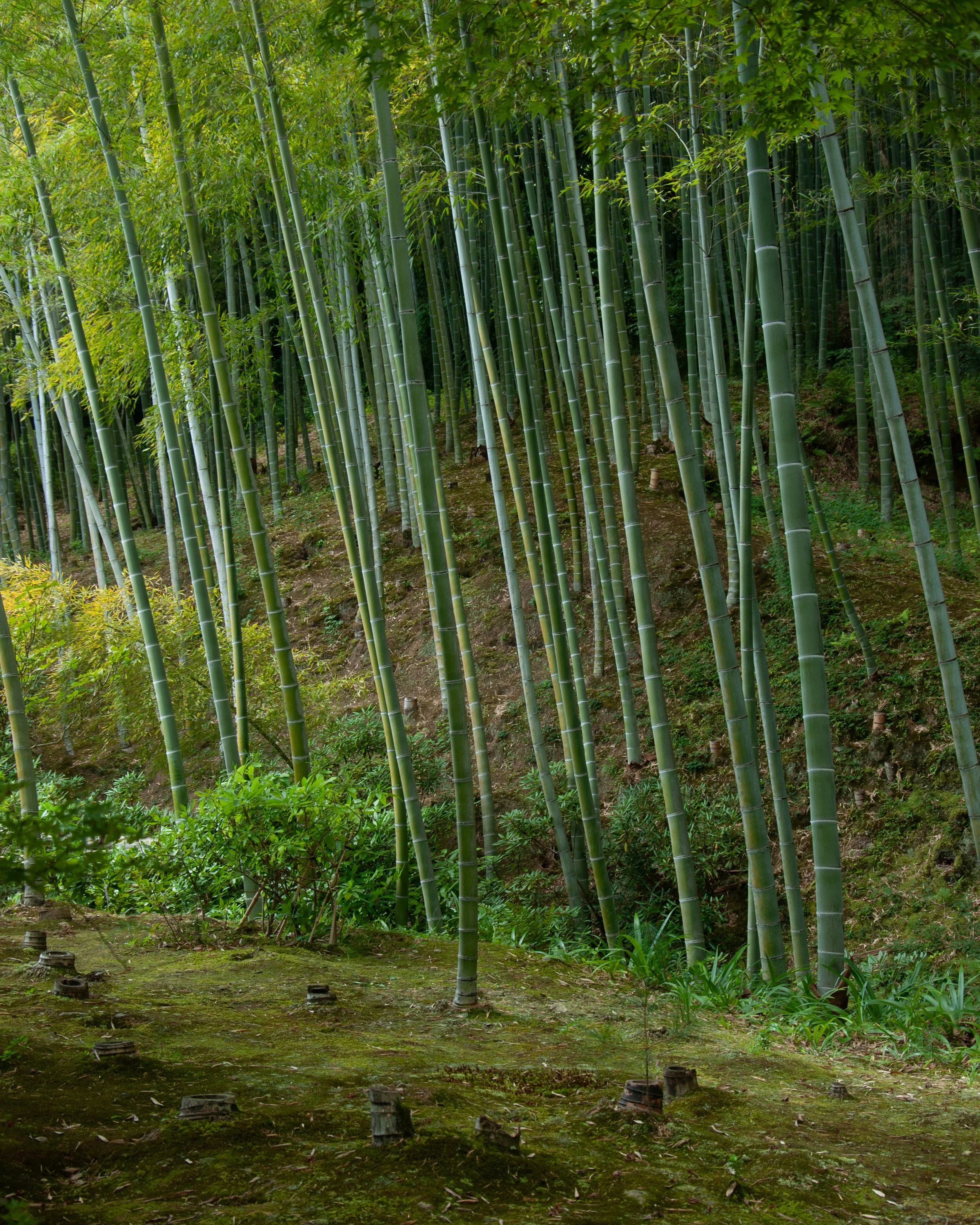 20250902 Shehryar 37.jpg