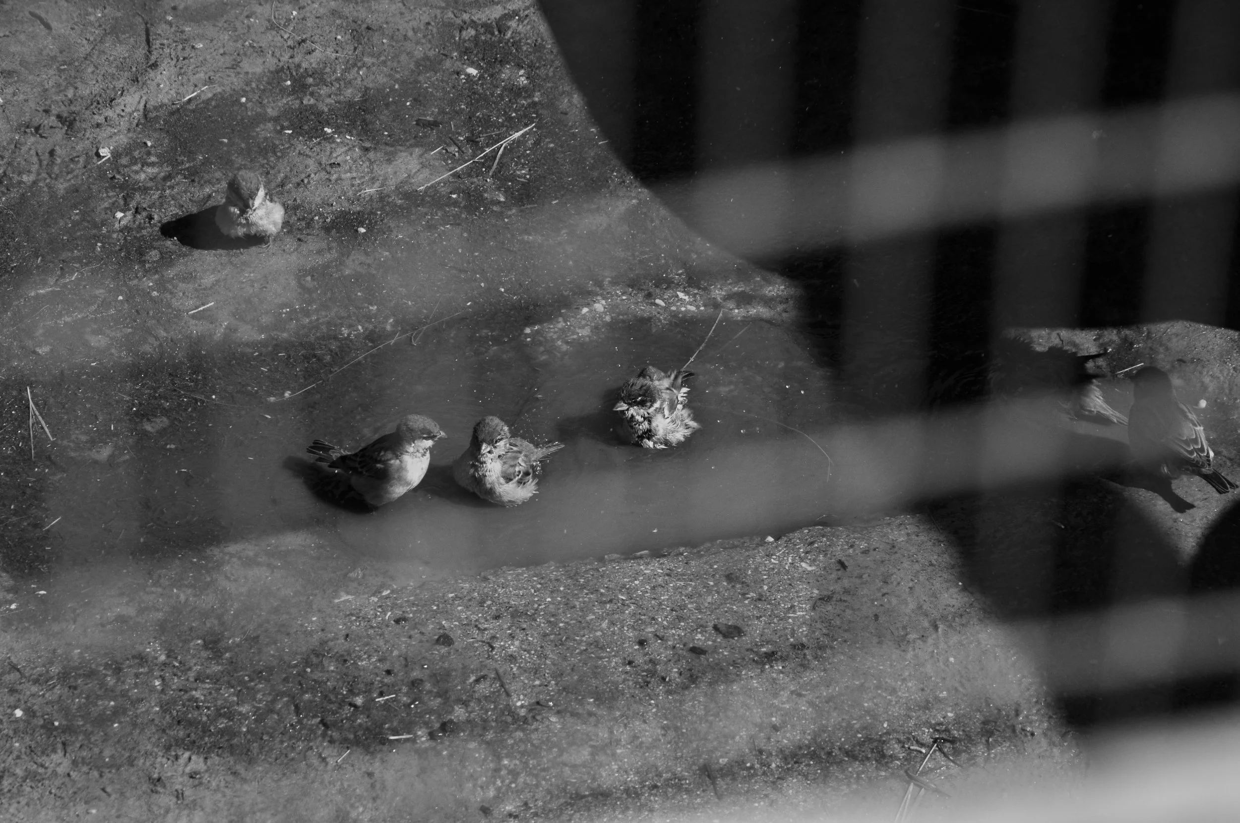 20250926 Shehryar 73.jpg