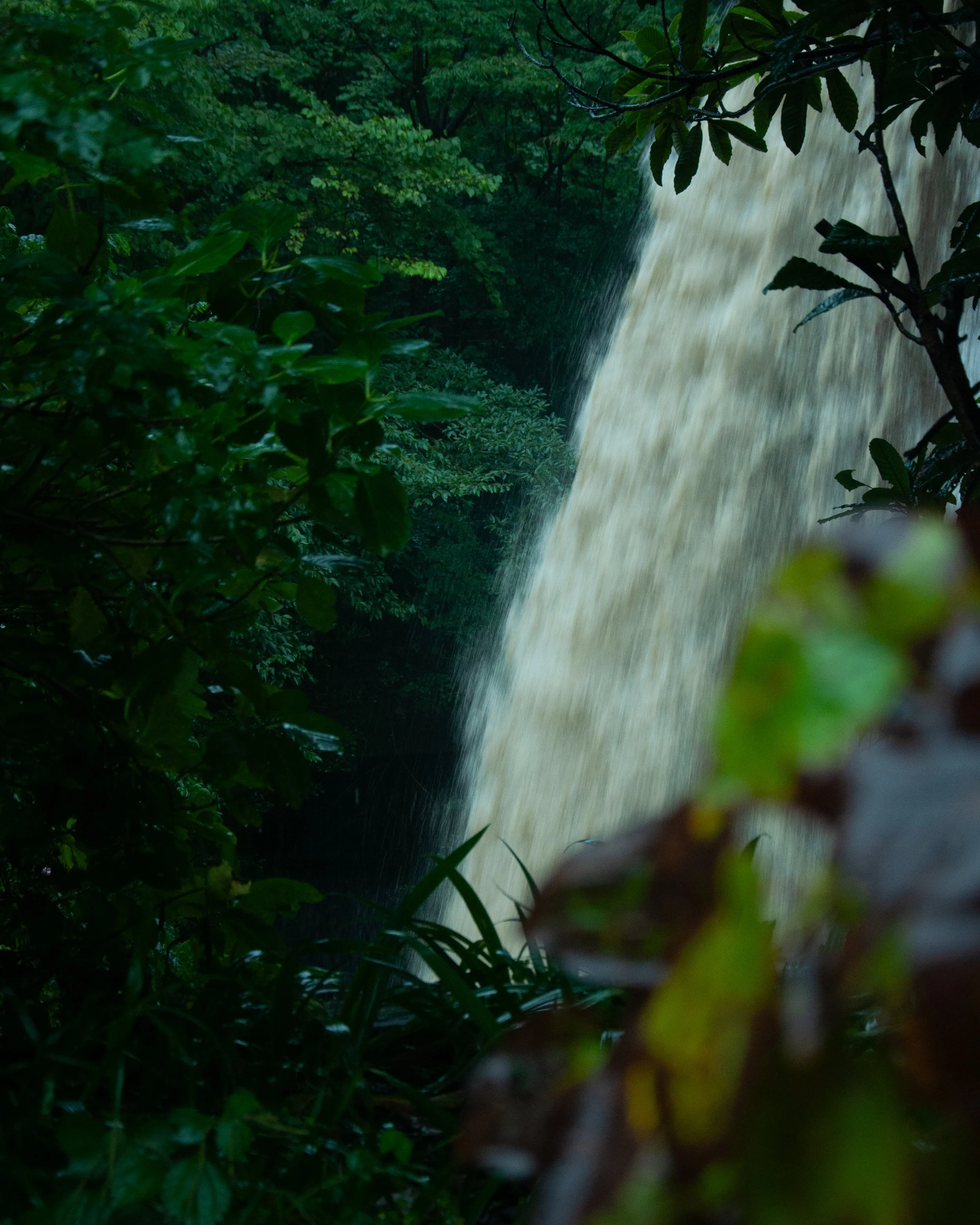 20250905 Shehryar 53.jpg