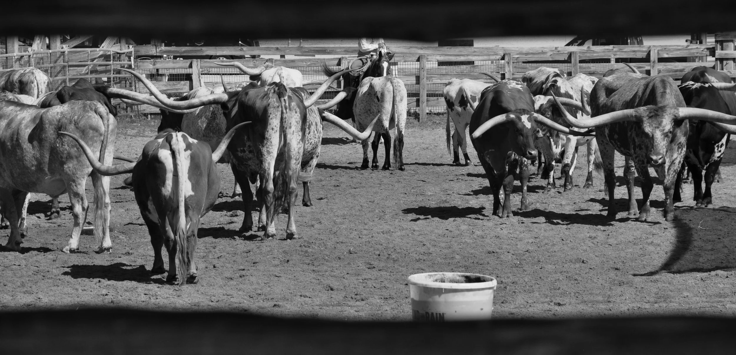 20250926 Shehryar 72.jpg