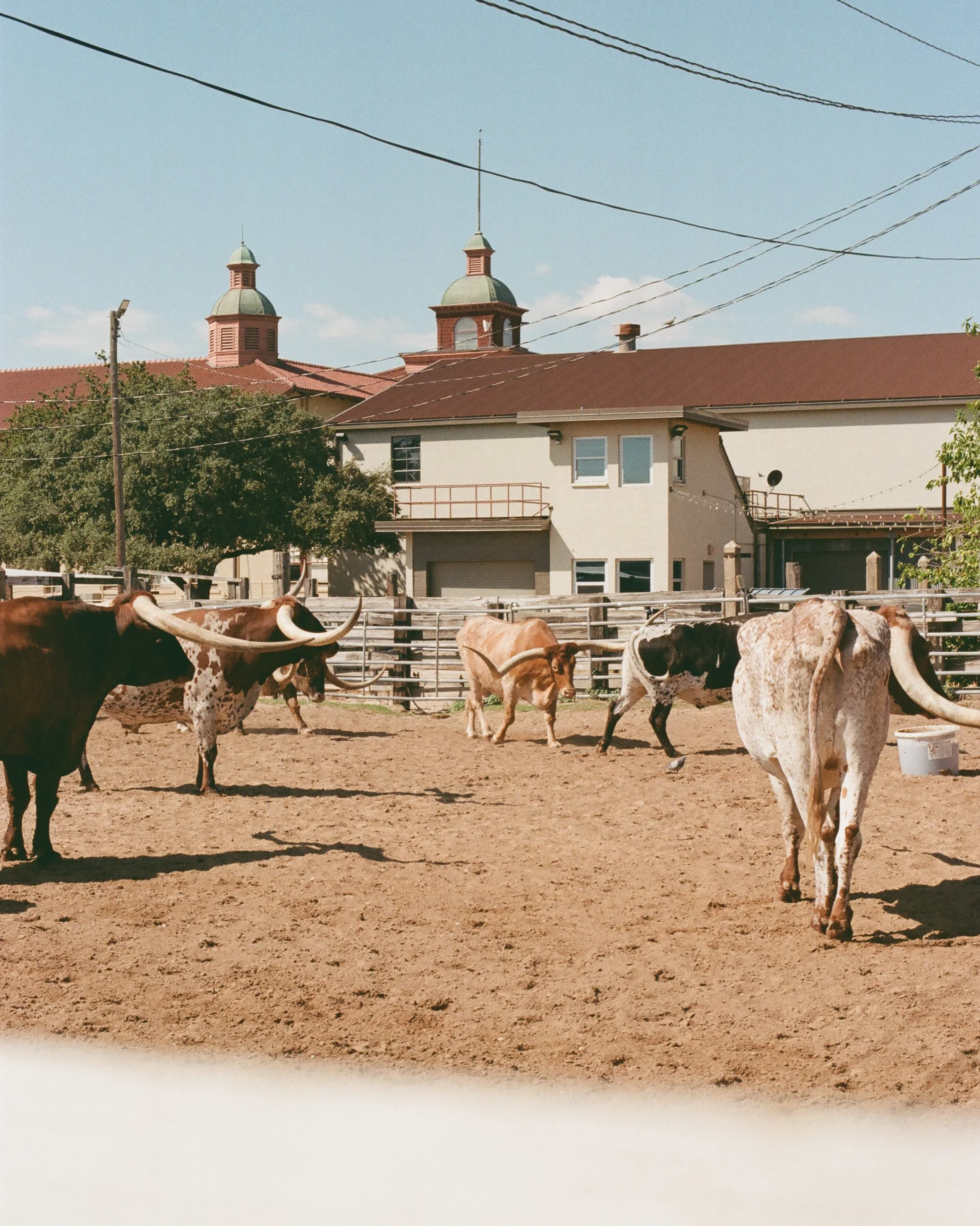 20251008 Shehryar 78.jpg