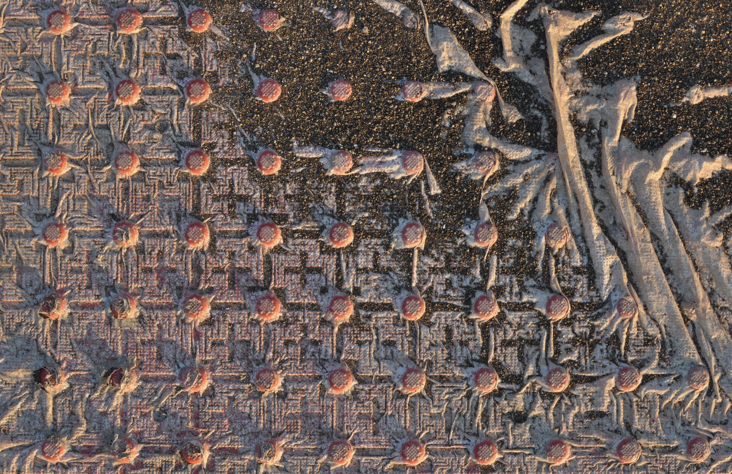 20250824 Shehryar 23.jpg