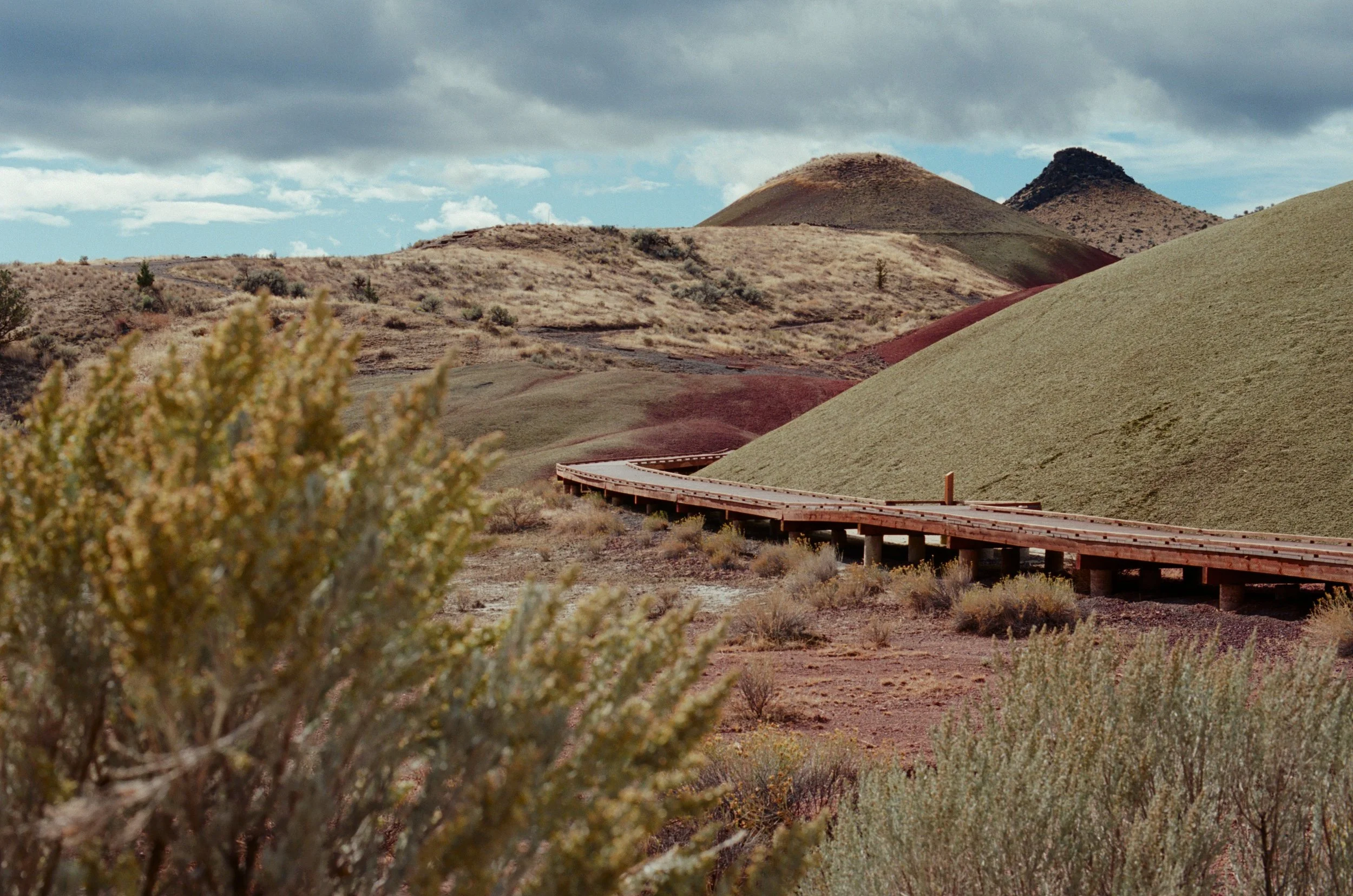 20251017 Shehryar 88.jpg