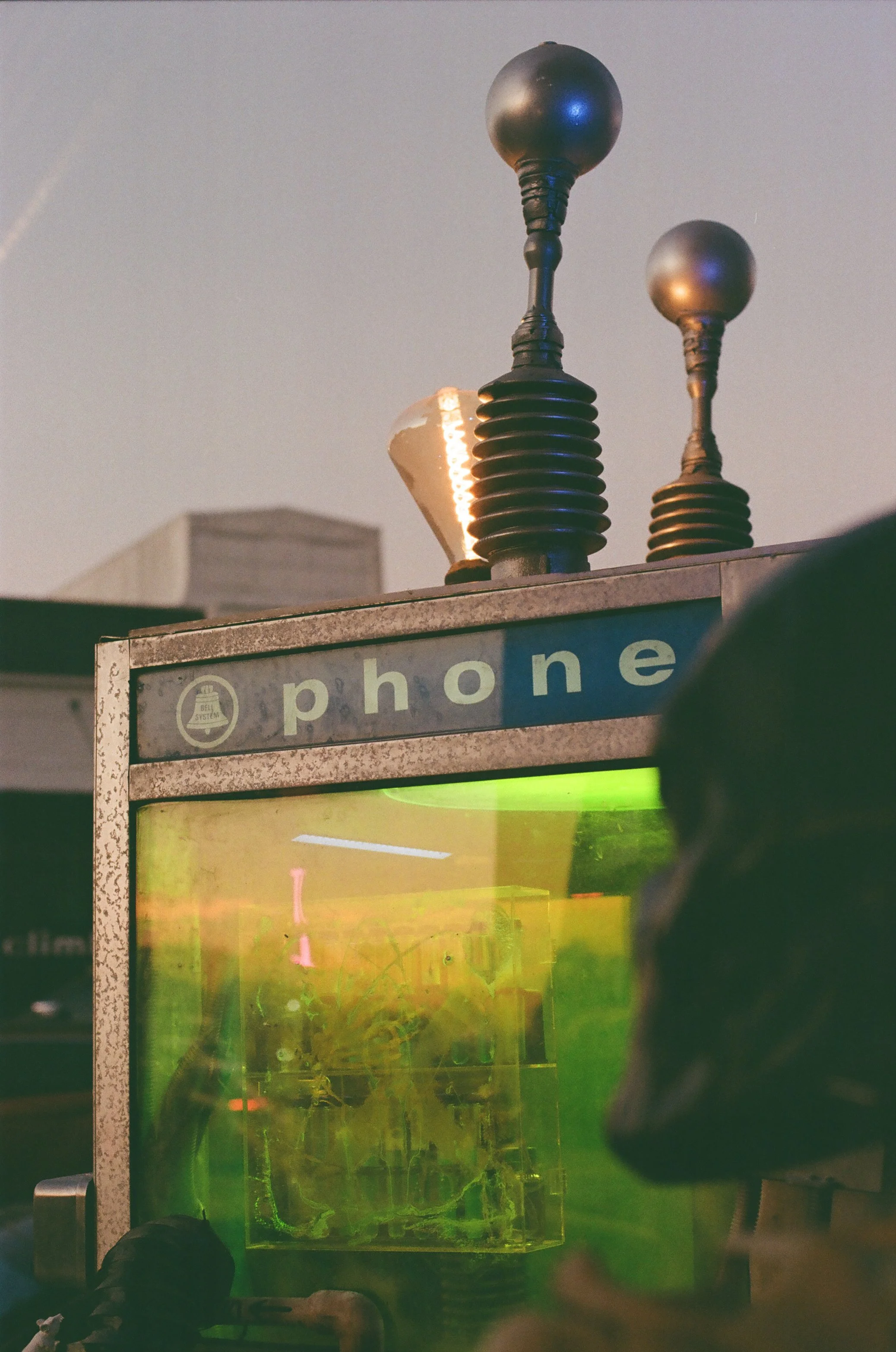 20251008 Shehryar 80.jpg