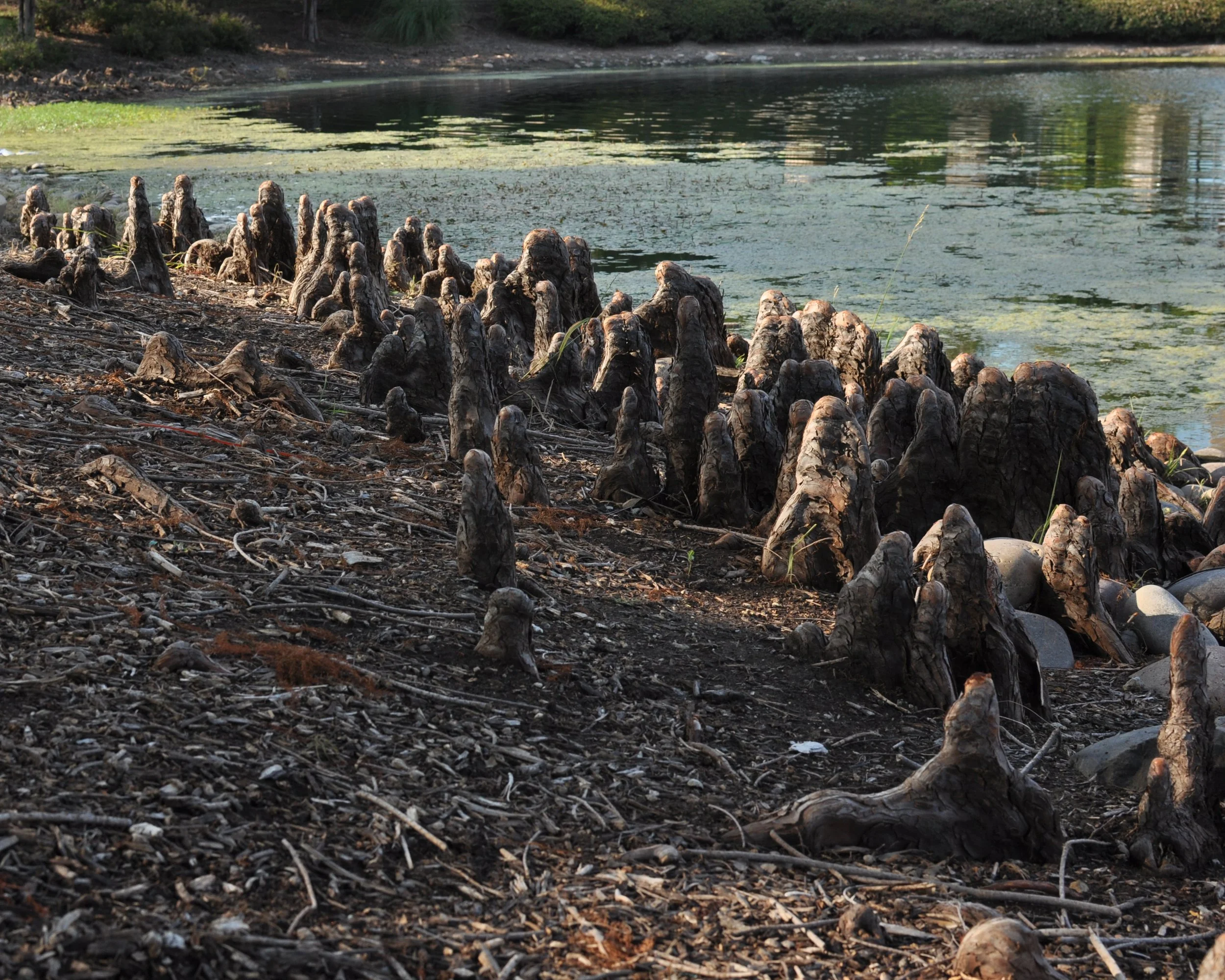 20250825 Shehryar 27.jpg